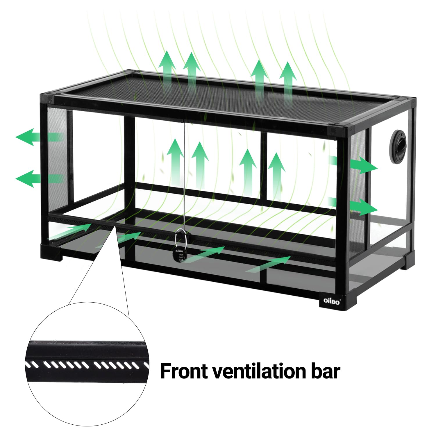 Oiibo 36 Gallon Reptile Terrarium Glass Tank, 32'X16'X16' Double Front Opening Door With Screen Ventilation Reptiles Or Amphi