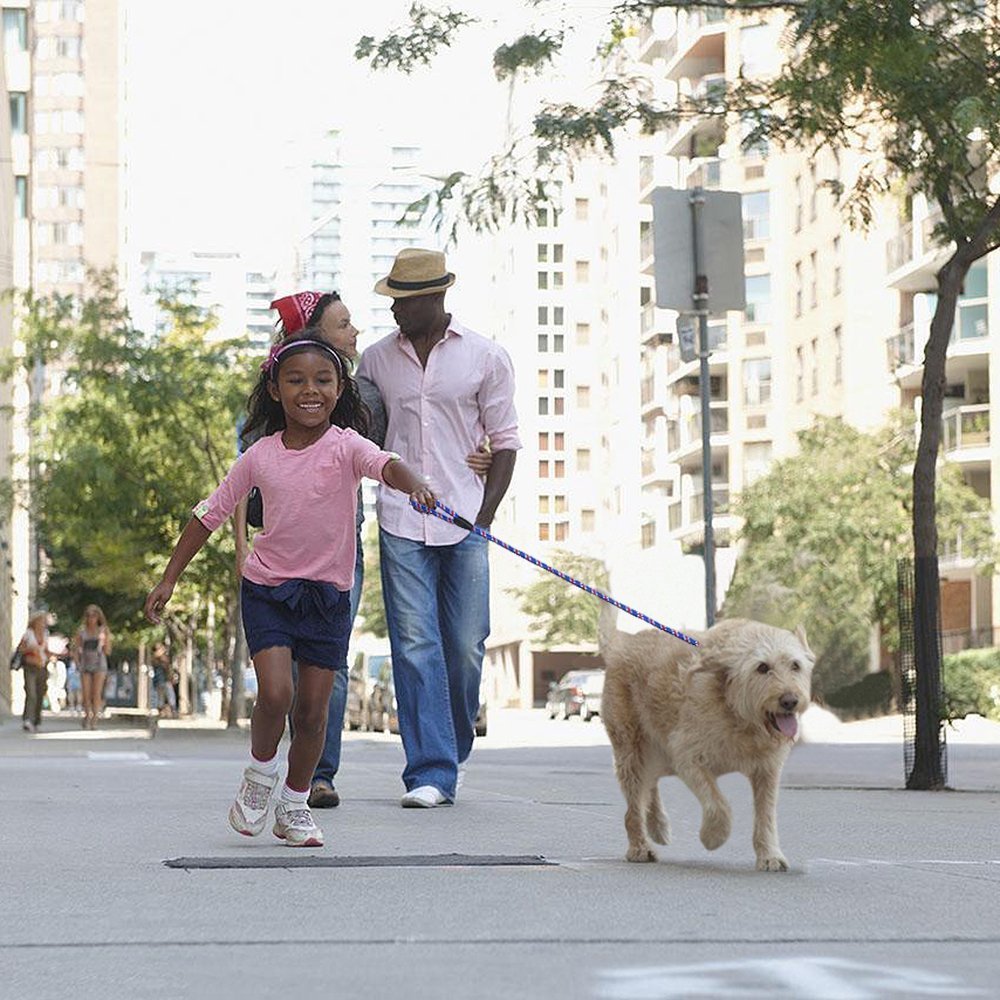 Dog Rope Leash, 5 Ft Pet Slip Lead, Dog Training Leash, Standard Adjustable Pet Nylon Leash For Small Medium Dogs 10-80 Lb Walking(Blue)