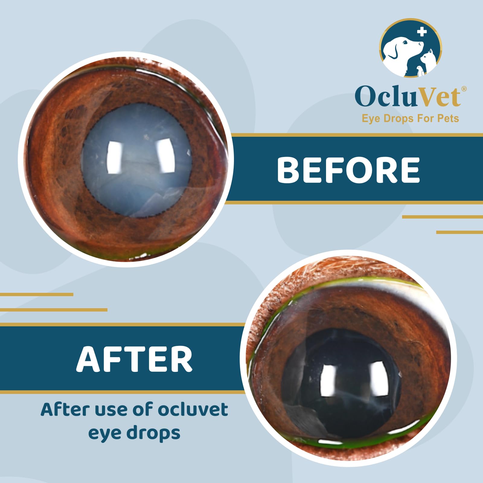 OcluVet Eye Drops for Pets - 2% N-Acetyl-L-Carnosine, 16mL, Clinically Studied Antioxidants for Cataracts, Made in the USA