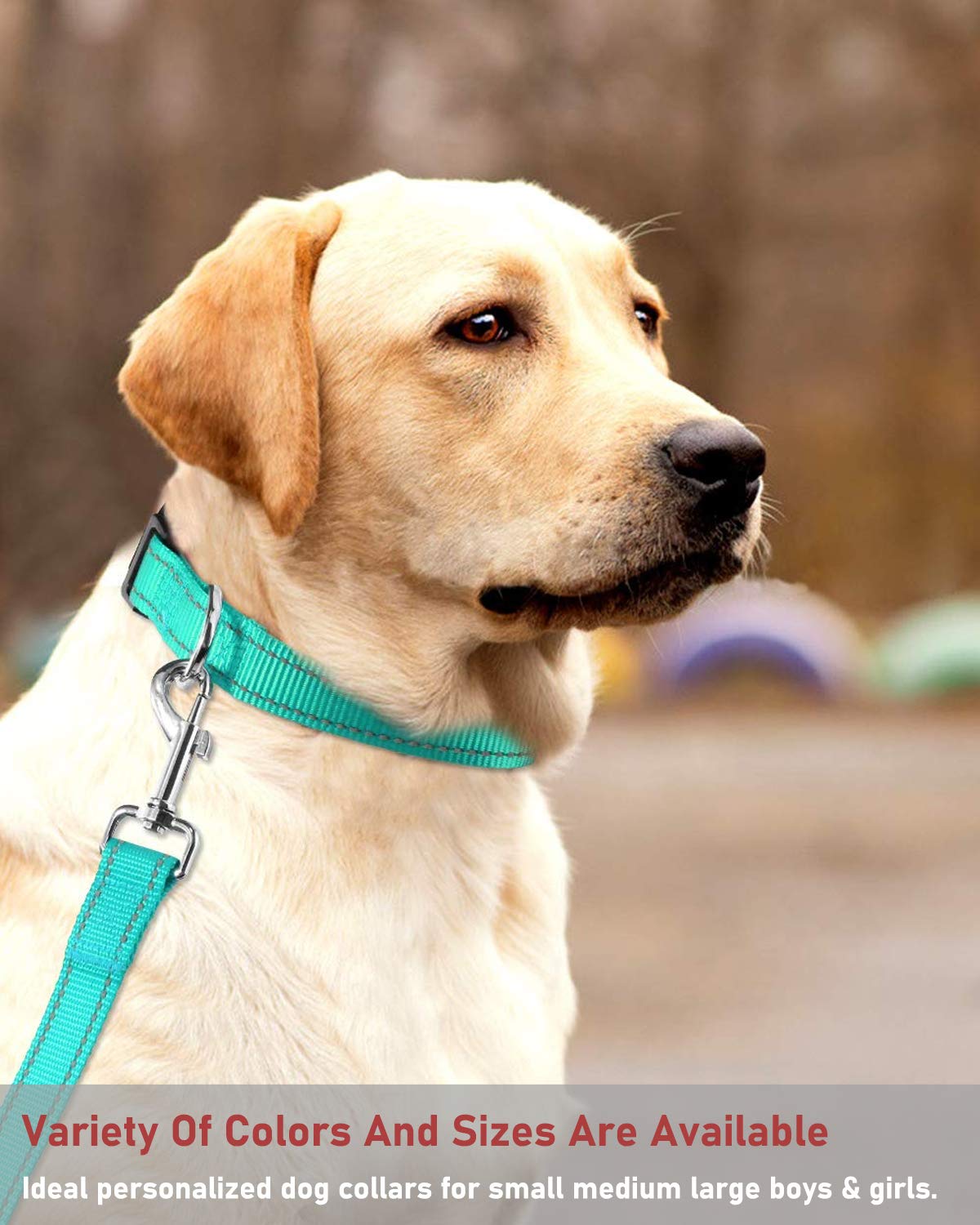 Reflective Dog Collar With Buckle Adjustable Safety Nylon Collars For Small Medium Large Dogs, Green Xl