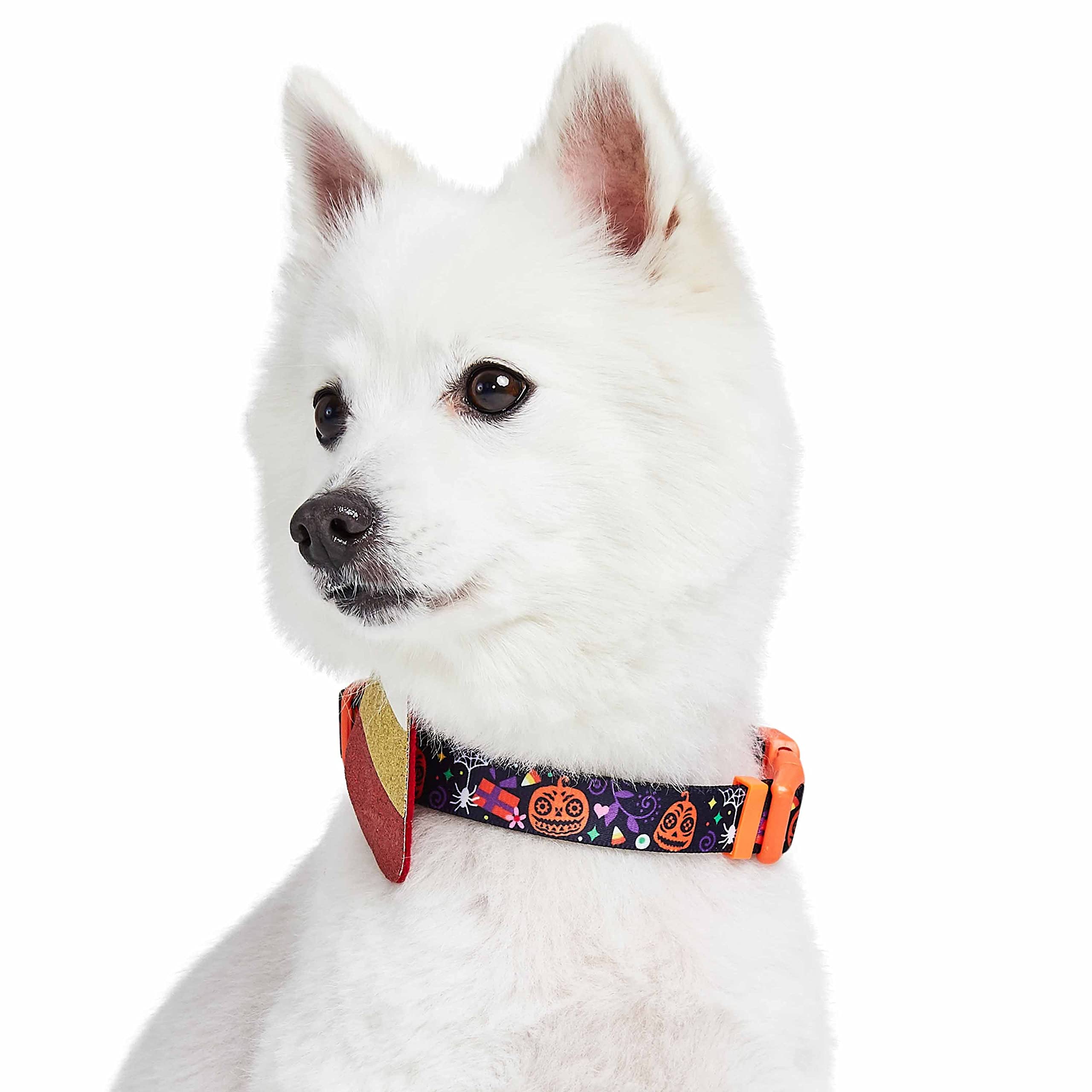 Blueberry Pet Halloween Candy Corn Adjustable Dog Collar With Detachable Glitter Accessory, Large, Neck 18'-26'