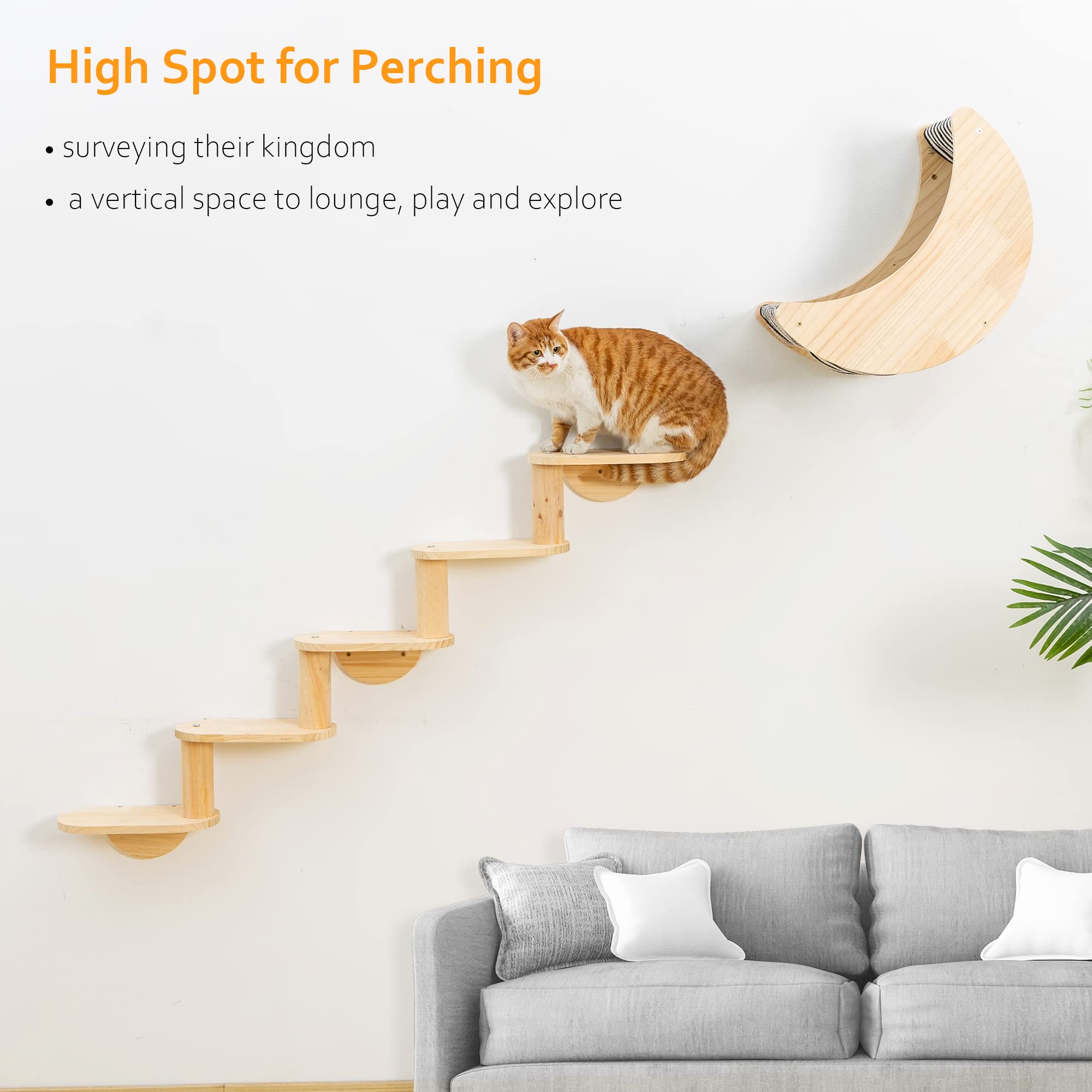 Cat Shelf for Wall Mount Hammock with 5-Levels Climbing Ladder Moon Cat Shelves and Perches for Activity Indoor Cats Wall Furnit