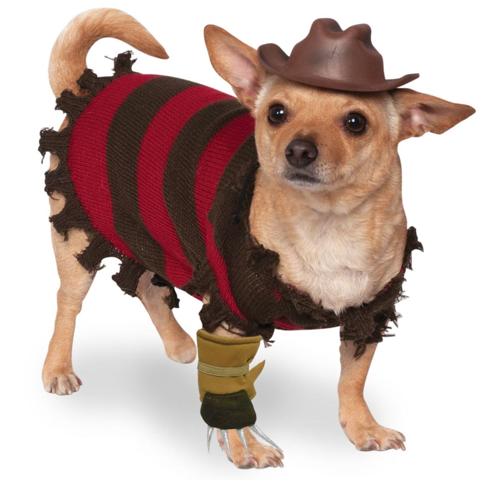 Rubies A Nightmare On Elm Street Freddy Krueger Pet Costume Large For Themed Parties And Halloween