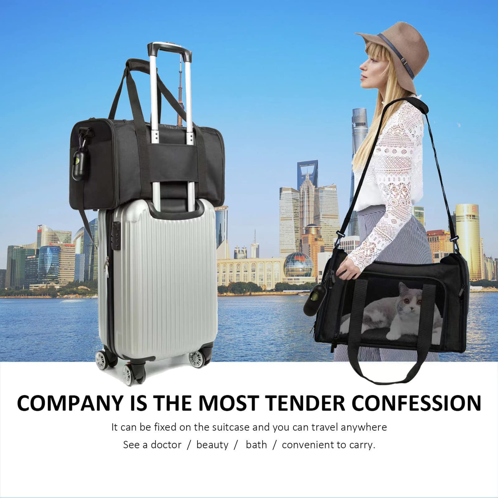 Rosebb Cat Carrier Dog Carrier Pet Carrier Cat Bags For Small Medium Cats Dogs Puppies Of 15 Lbs,Of Airline Approved Small Dog Bag Soft Sided,Collapsible Travel Puppy Carrier(Large, Black)