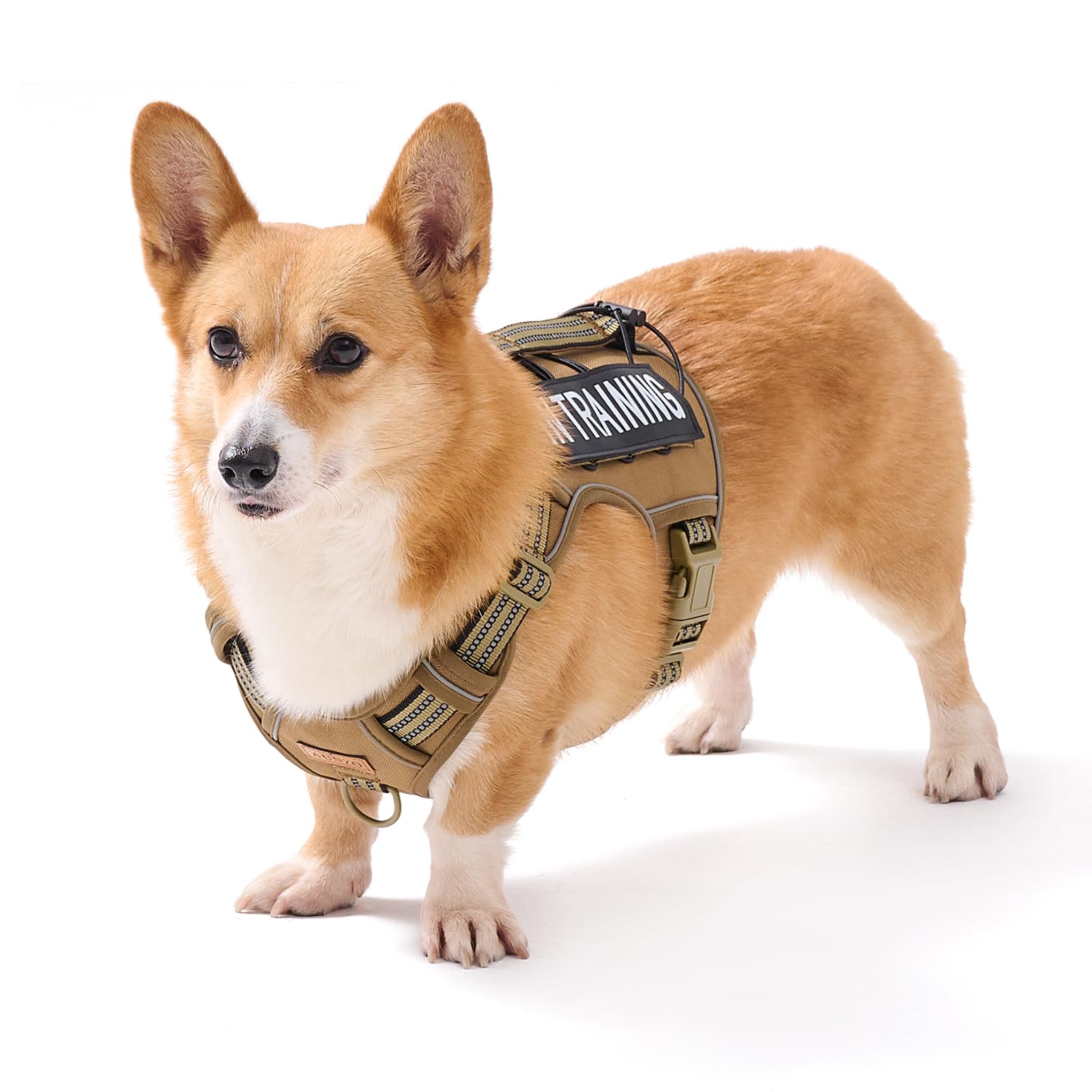 Aunzo No-Pull Adjustable Dog Harness For Small Dogs,Easy Control With Handle, For Havanese Chihuahua Puggle Etc, Inescapable, Ez