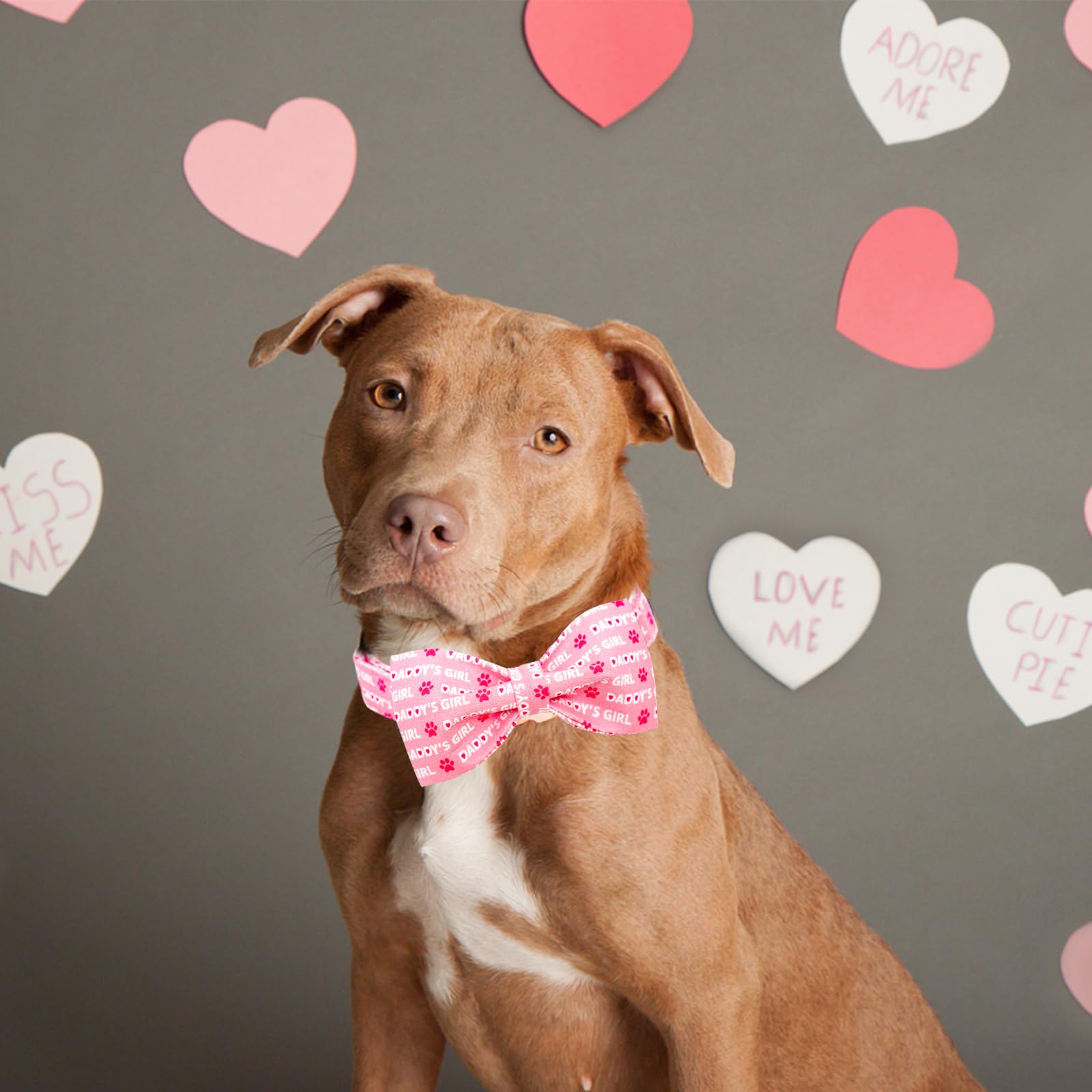 Lionheart Glory Dog Bow Collar - Valentine'S Day Collar For Small Dogs, Pink With Bowtie