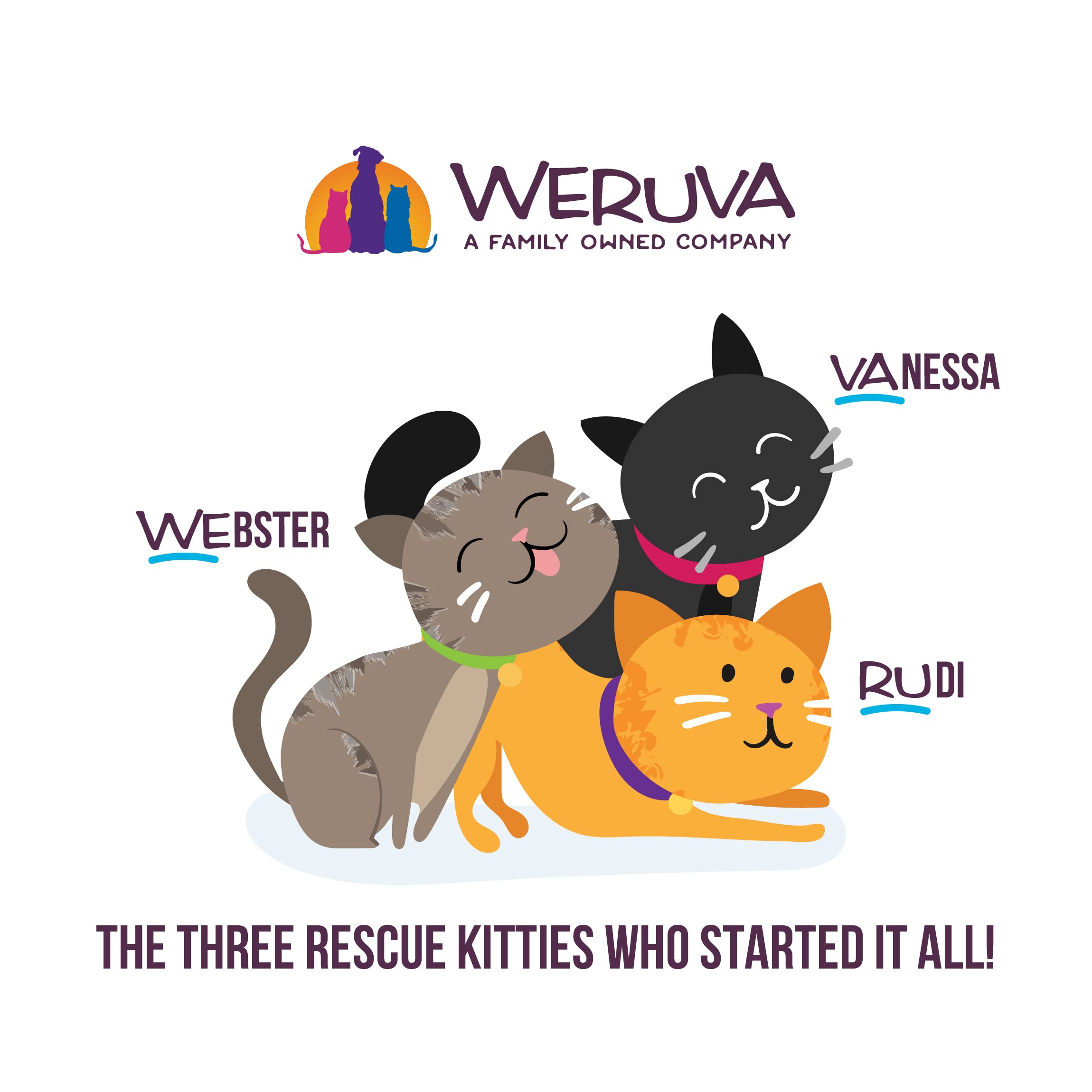 Weruva Wet Cat Food, The Mix and Match Game Pate Variety Pack, 3oz Can, Pack of 18