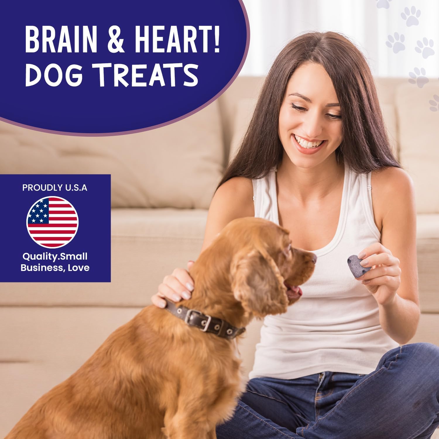 Much-Loved Dog™ Blueberry BUNDLE