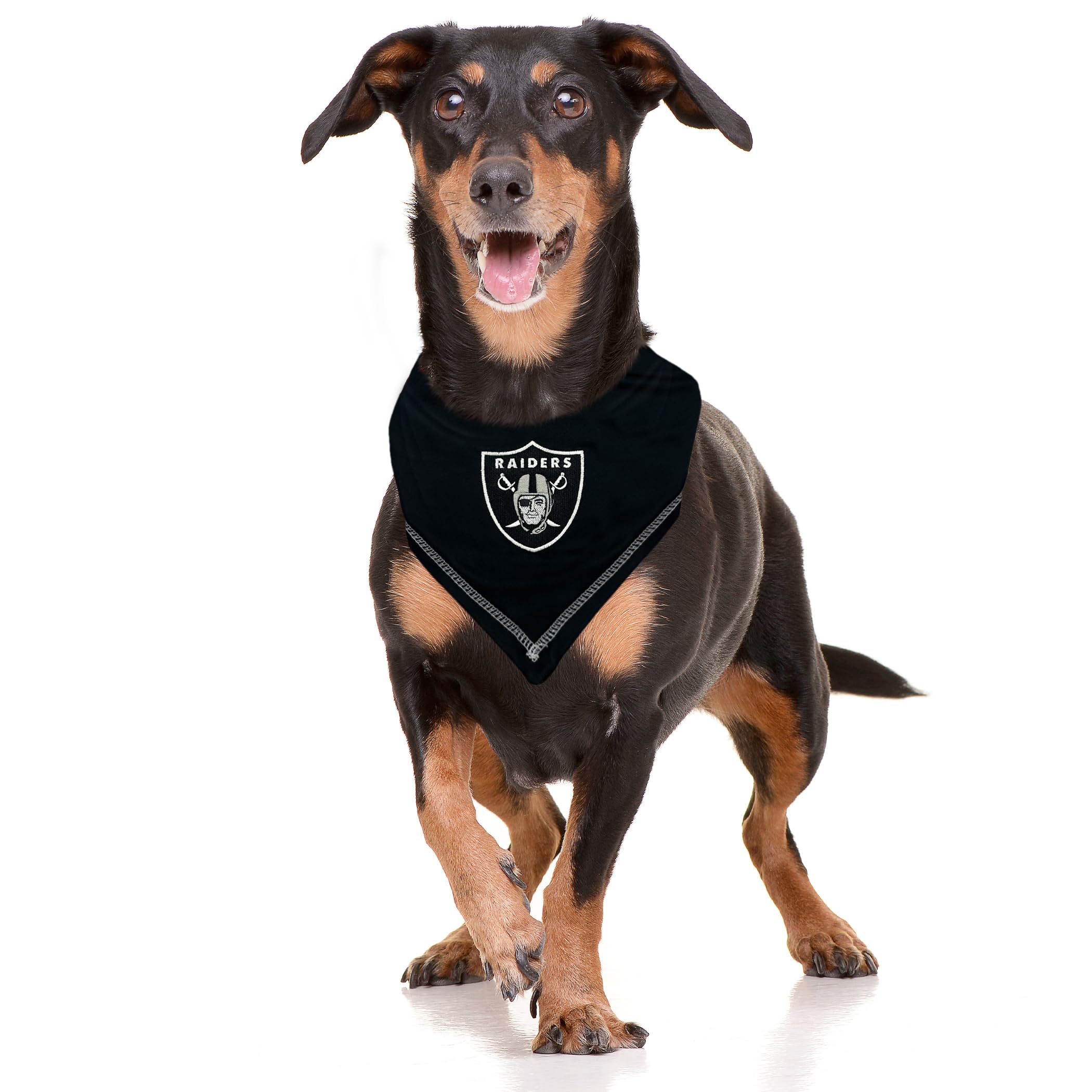 Pets First NFL Las Vegas Raiders Dog Bandana - Small/Medium, Cotton Scarf for Pets, Ultimate Game-Day Accessory