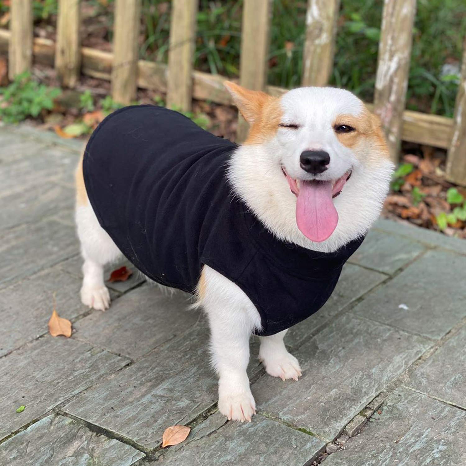 Dog Winter Vest Warm Breathable Dog Polar Fleece Vest Jacket, Lightweight Winter Coat With Leash Neck Hole For Small Medium Large Dogs Black Xl