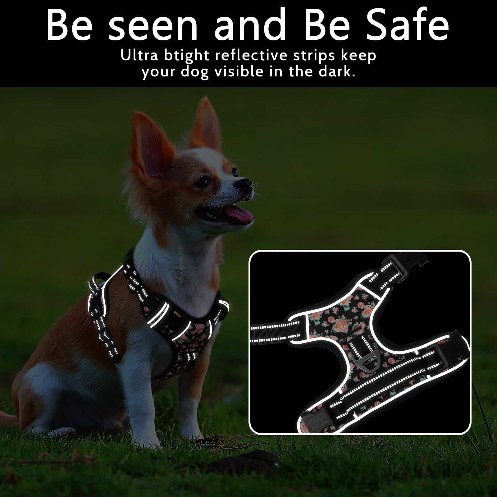 Timos Dog Harness, 3 Snap Buckles No-Pull Soft Padded Dog Vest With 2 Metal Leash Clips,Adjustable Reflective No Choke Pet Harne