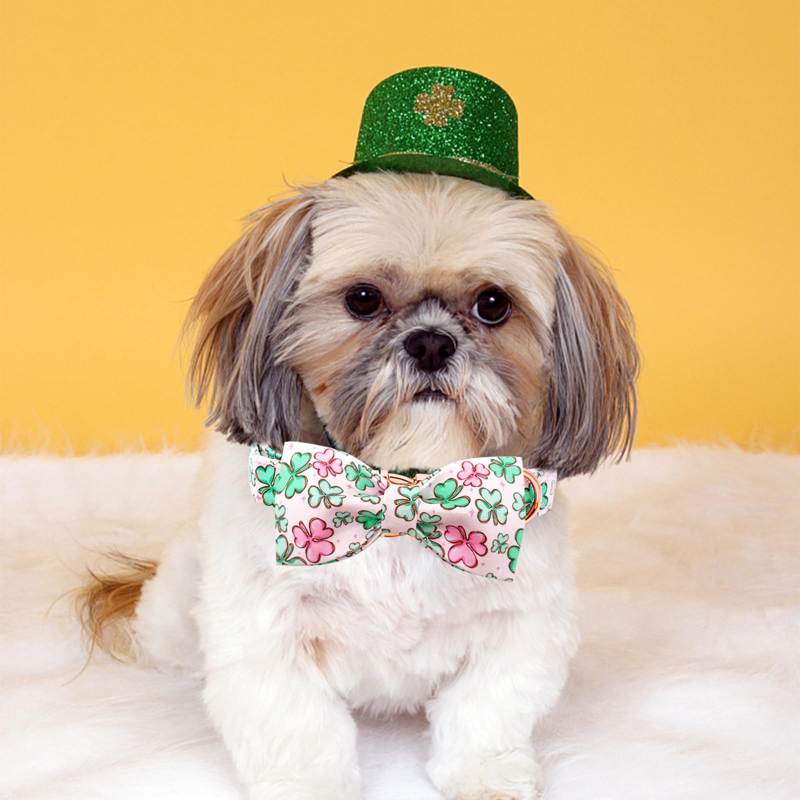 Lionheart Glory Dog Bow Collar St. Patrick'S Day Dog Collar For X-Small Dogs, Adjustable Green Collars Lucky Clover Shamrock Dog