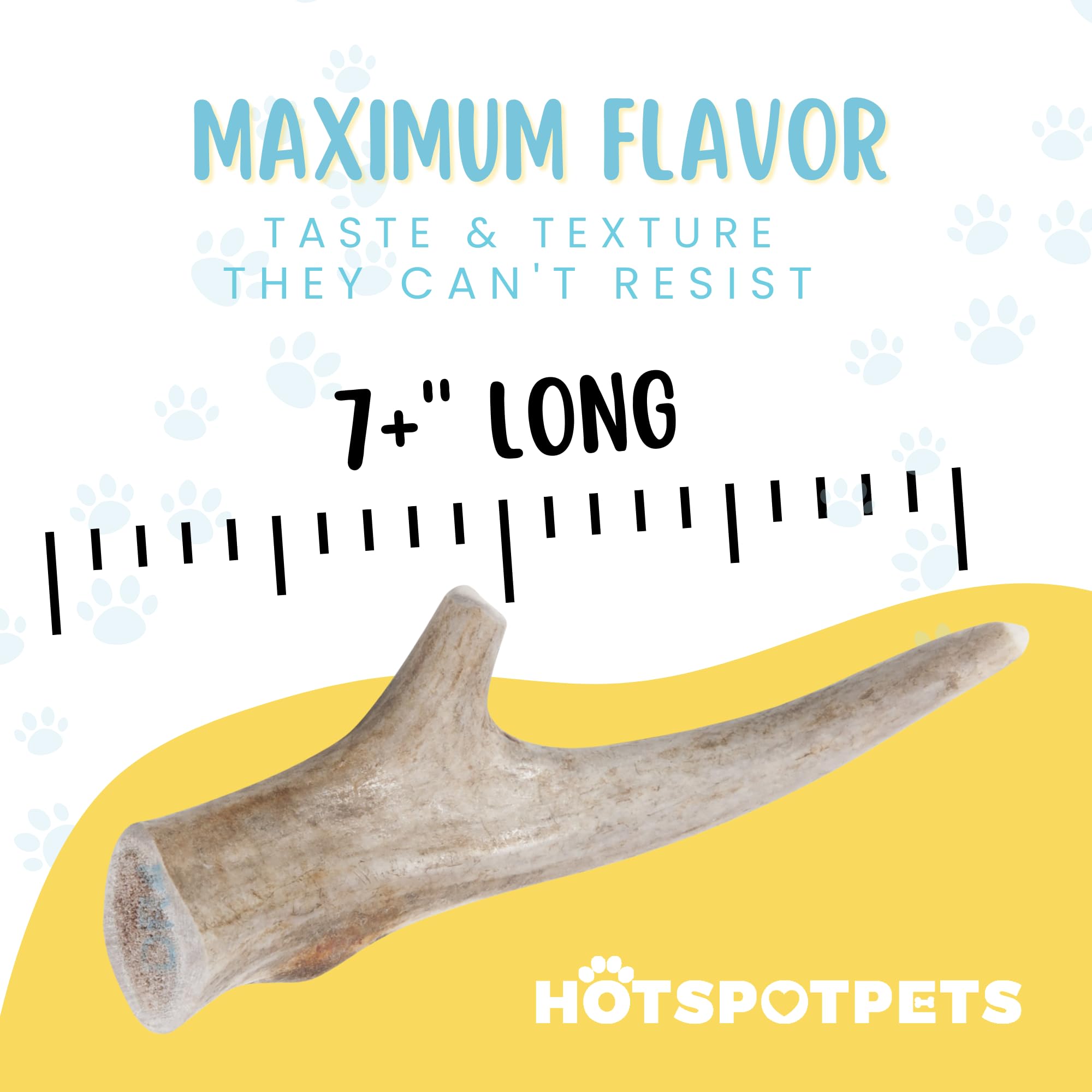 hotspot pets Premium Deer Antlers for Dogs - 7+ Inch Large Antler Dog Chews (2 Pack) Made in USA - Naturally Shed Antler Bone fo