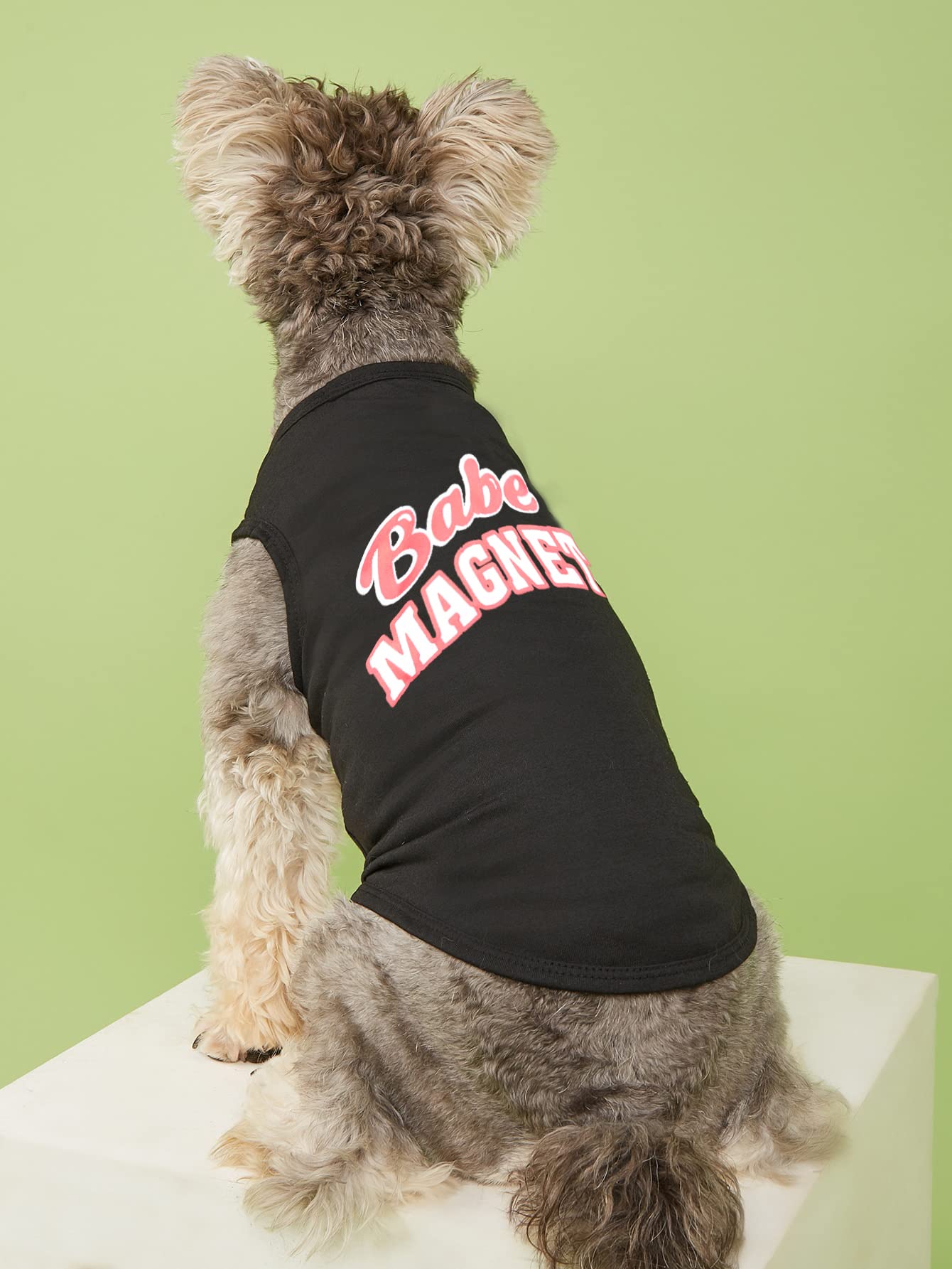 Puppy Dog Shirt Dog Summer Clothes Pet Dogs Shirts Xs Dog T Shirt Yorkie Clothes Chihuahua Clothes Boys, Small, Black