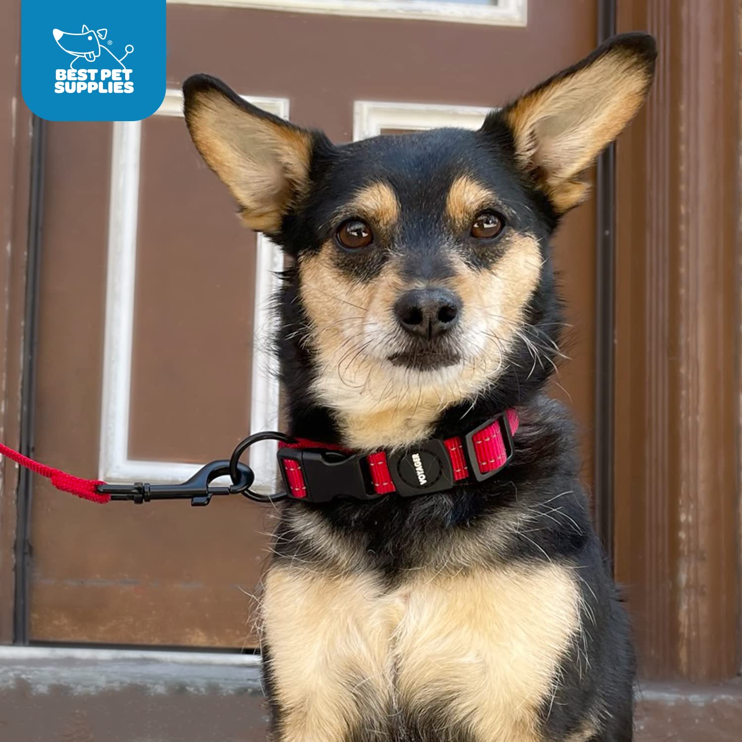 Best Pet Supplies Reflective Dog Collar With Adjustable Length, Heavy-Duty Buckle, And Strong Leash D-Ring, Training, Walking, Jogging Accessory For Small, Medium, And Large Breeds - Fuchsia, L