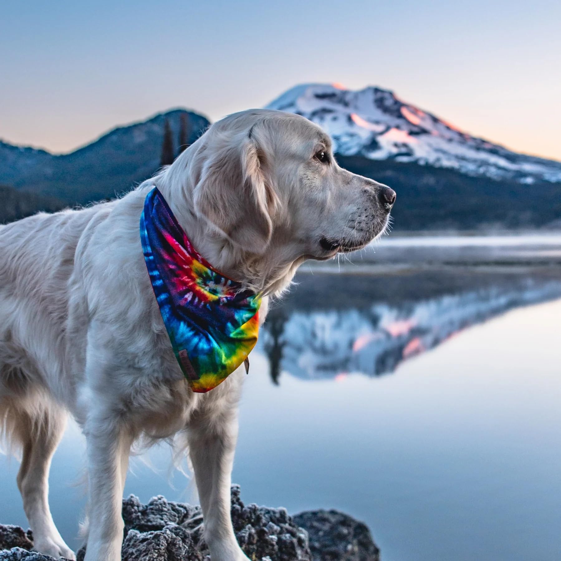 Wilderdog Dog Bandana with Lightweight Quick Drying Poly-Blend Mesh Material in Tiedye