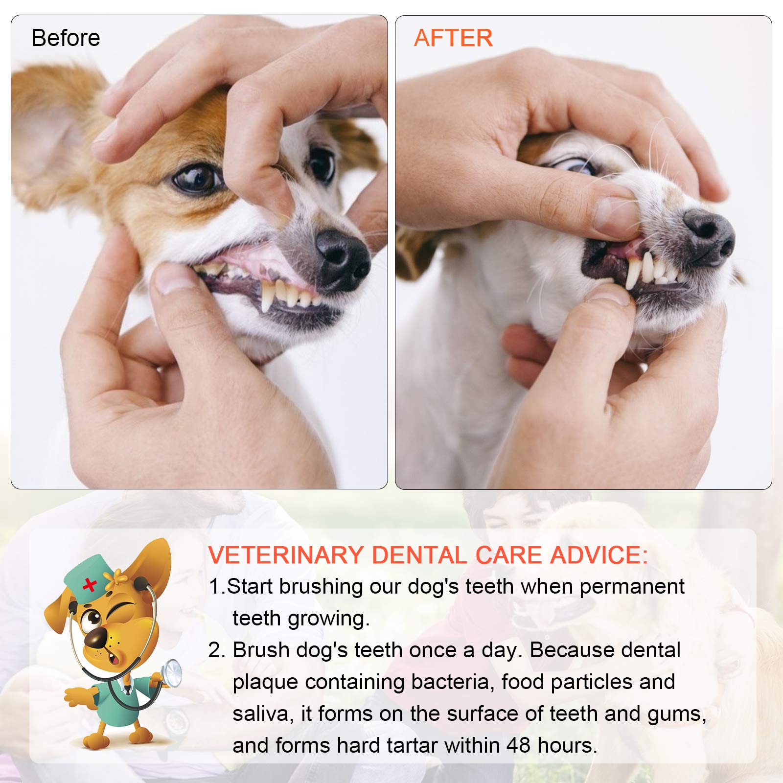 EASYA Double Headed Pet Dog Toothbrush for Small Dogs/Soft Bristles Puppy Long Handle Tooth Brush Dogs Teeth Cleaning/Bulk Tooth