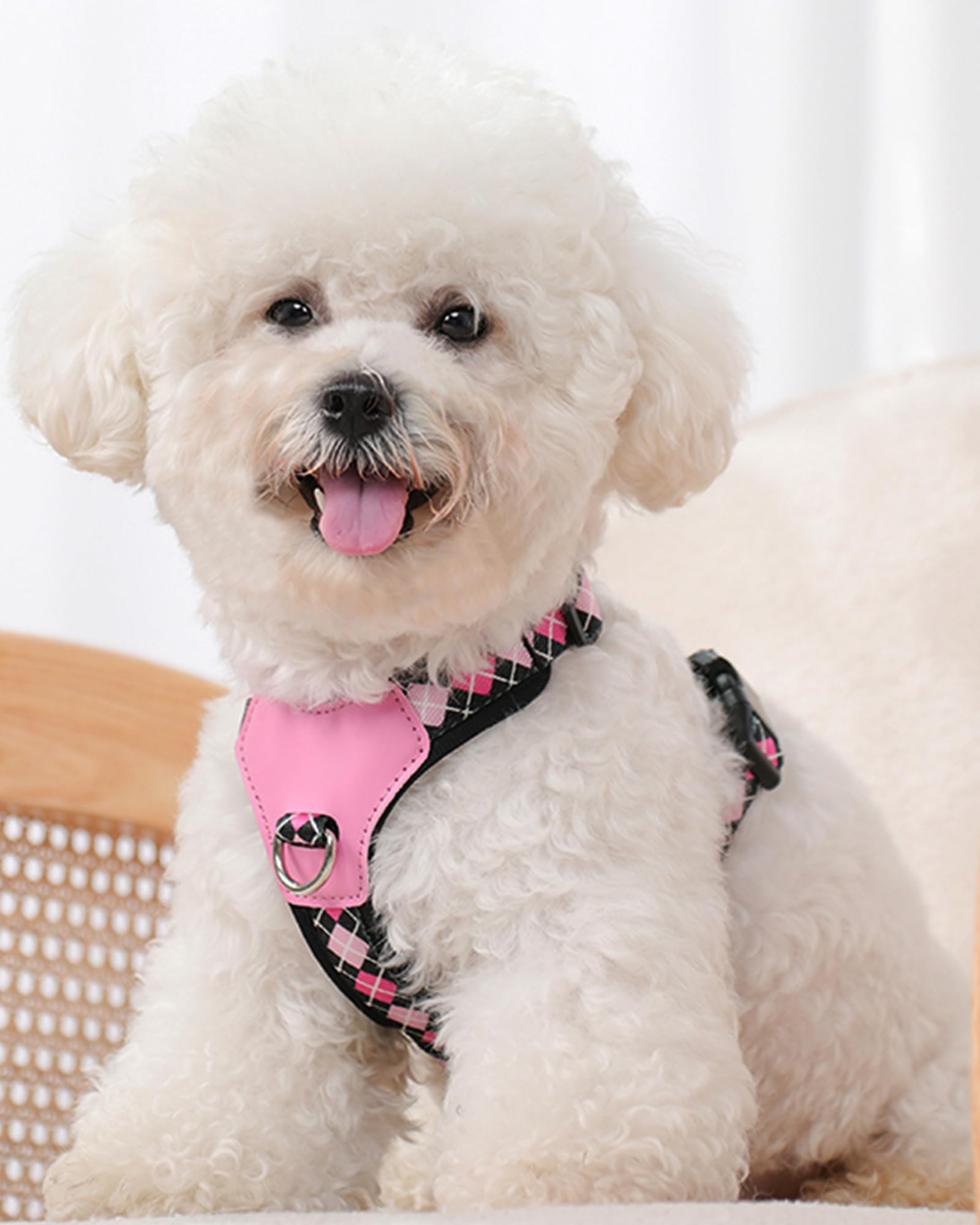 Petank Black Large Dog Harness For Large Dogs, No Pull Dog Harness With 2 Leash Clips, Easy Walk Dog Harness Large Sized Dog, Pu