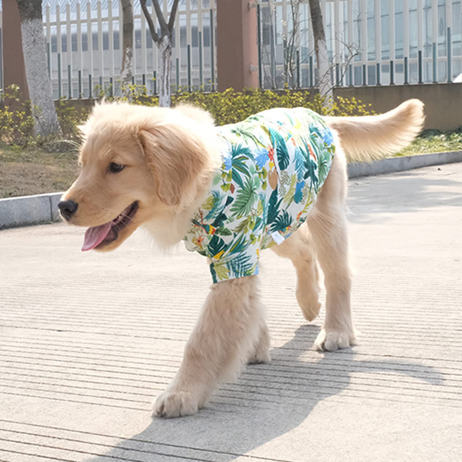 Harikaji Dog Hawaiian Shirt, Summer Pet Clothes Large Dog Cool Costume Beach T-Shirt For Medium Large Dog(White,7Xl)