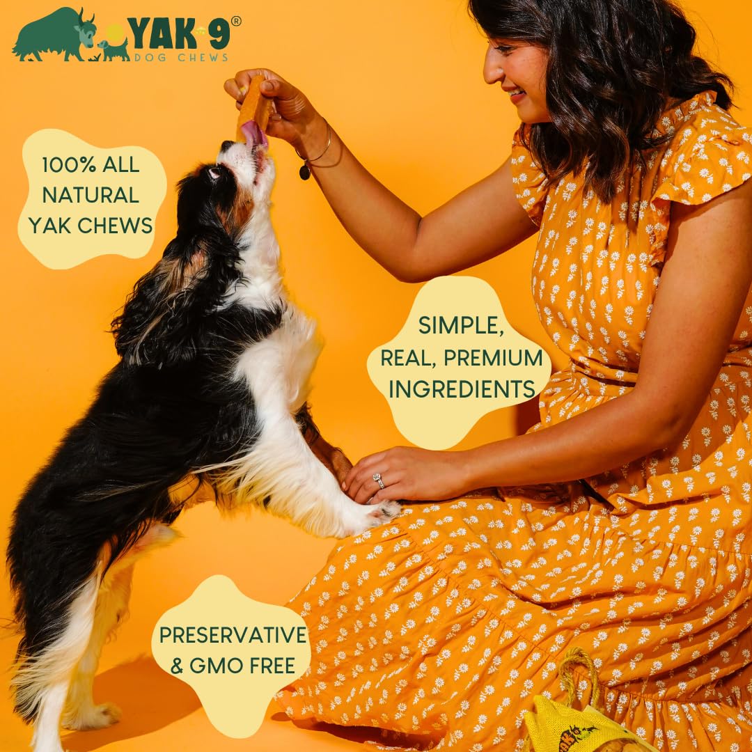 Yak9 Cheese Dog Chews, High Protein Treats, Natural, Rawhide Free, Long Lasting with Vitamins & Minerals, Medium Size, Yak & Cow