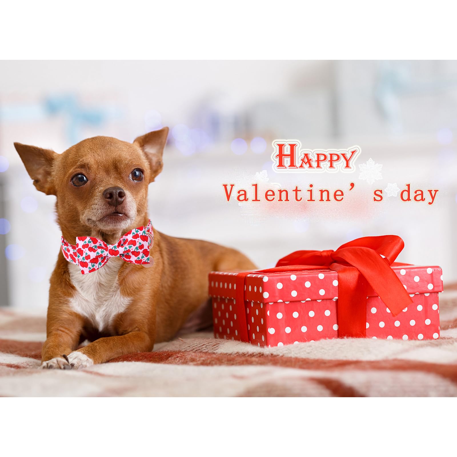 Dogwong Valentine Dog Collar With Bow, Pink Cherry Heart Dog Collar Durable Soft Cotton Pet Dog Collar Cute Heart Valentines Day