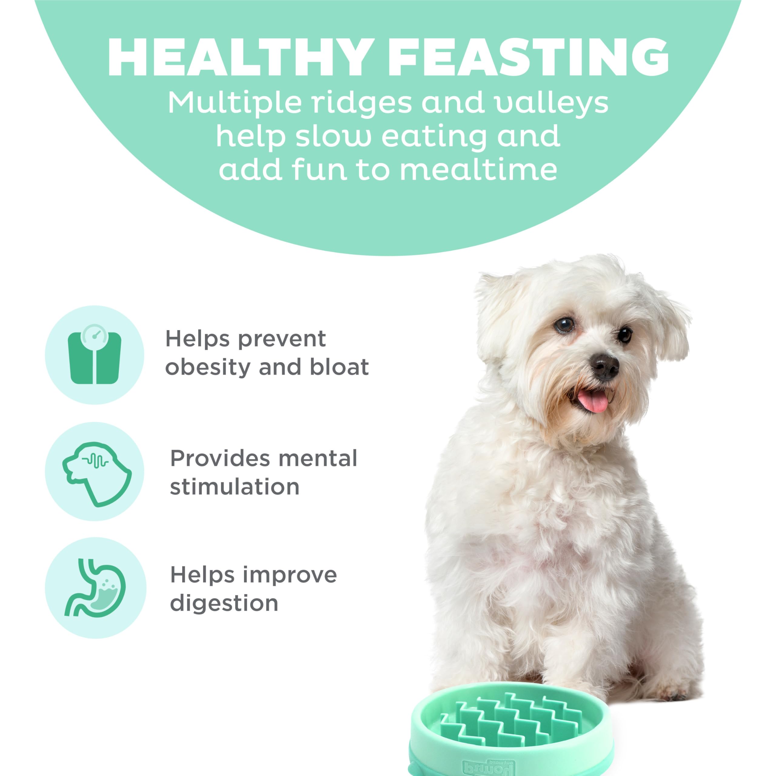 Outward Hound Small Fun Feeder Slow Bowl, Puzzle for Fast Eaters, Puppies, Cats & Small Dogs, Wet or Dry Food, Helps Prevent Blo