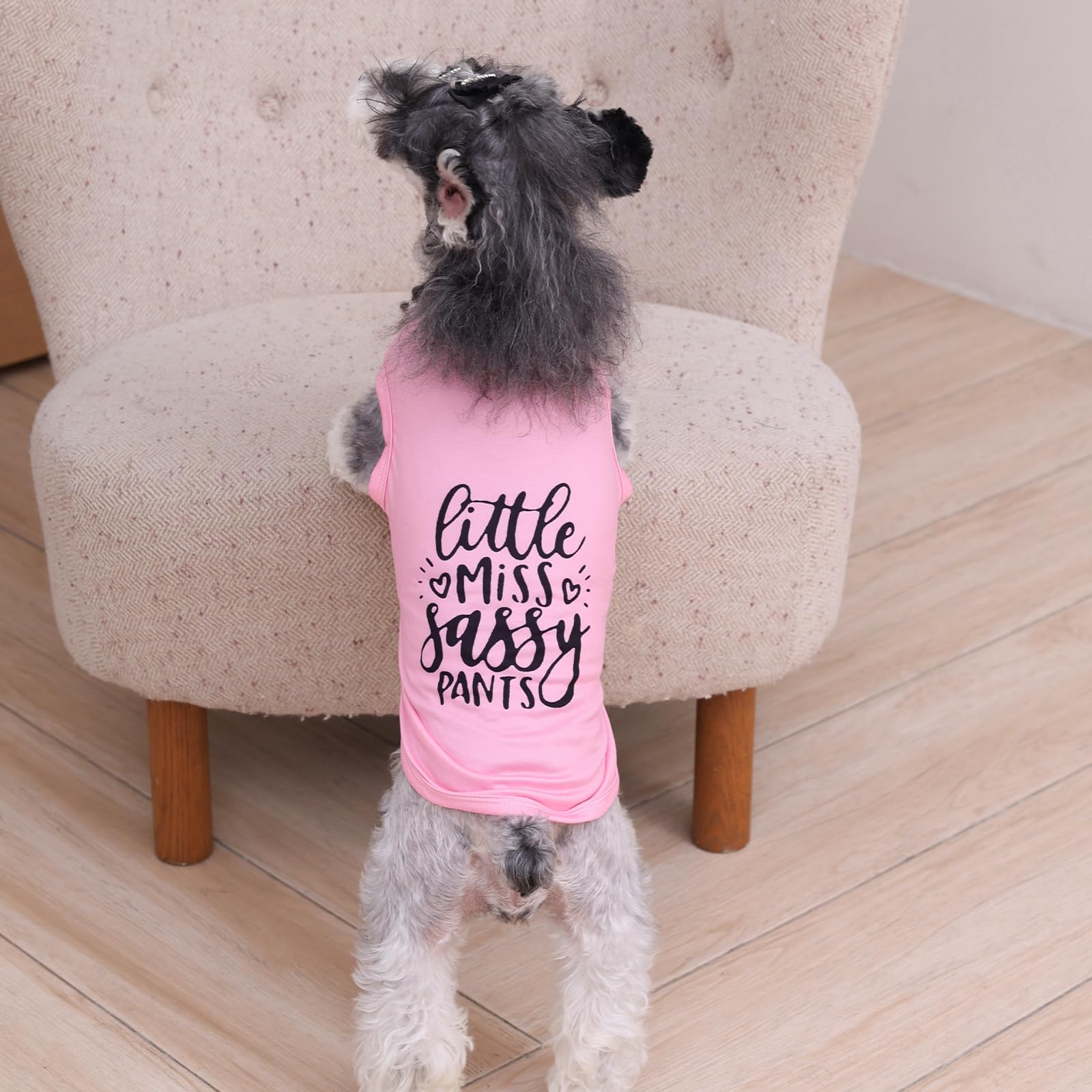 Cutebone Soft Dog Shirt Pink Lightweight Small Puppy T-Shirts Pet Clothes Breathable Tee Vest Stretchy Outfit Cat Apparel Bx01Xx