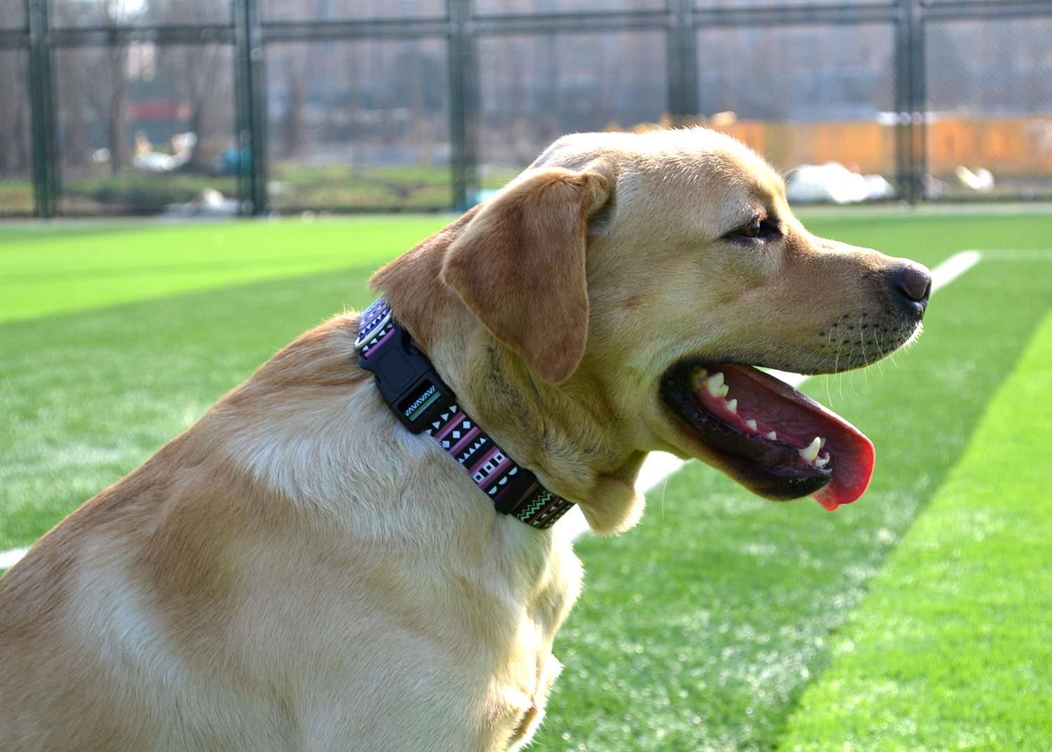 Mihqy Dog Collar With Bohemia Floral Tribal Geometric Patterns - Soft Ethnic Style Collar Adjustable For Small Medium Large Dogs(Bohemian Purple,L)