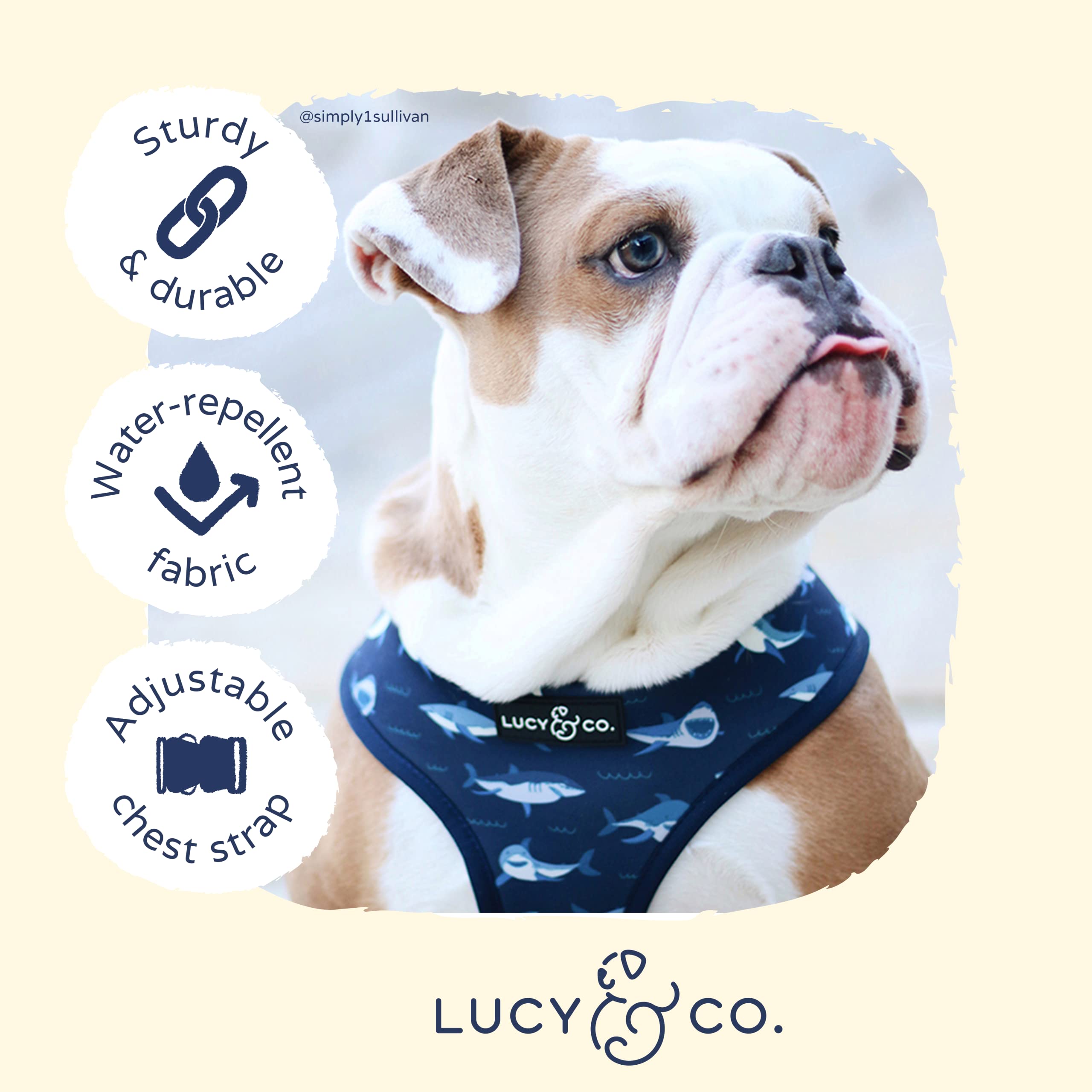 Reversible Dog Harness Walking Halter - Best Designer Pet Harnesses For Extra Small Medium Large Xl Dogs Plus Pug Breeds - Padde