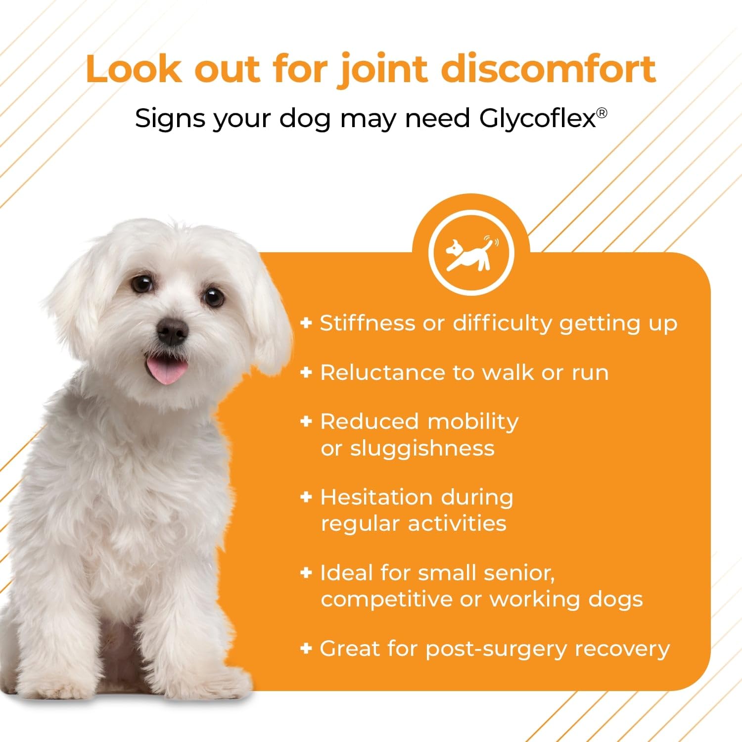 VETRISCIENCE GlycoFlex Plus Hip and Joint Supplement for Small Dogs, 60 Chews, Extra-Strength with Green Lipped Mussel, Chondroitin, Glucosamine