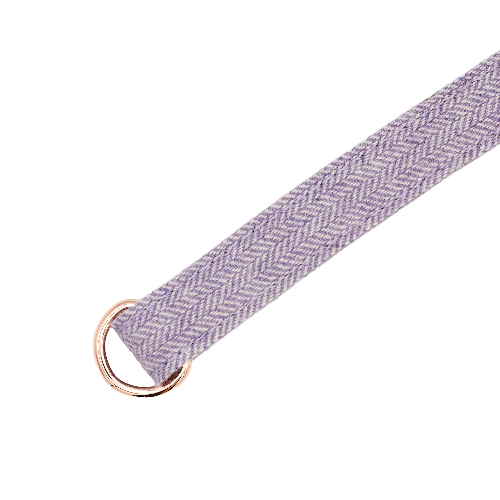 Rose Gold Collars And Leashes | Lavender Nylon Collars And Leashes W/Rose Gold Buckles (Leash)
