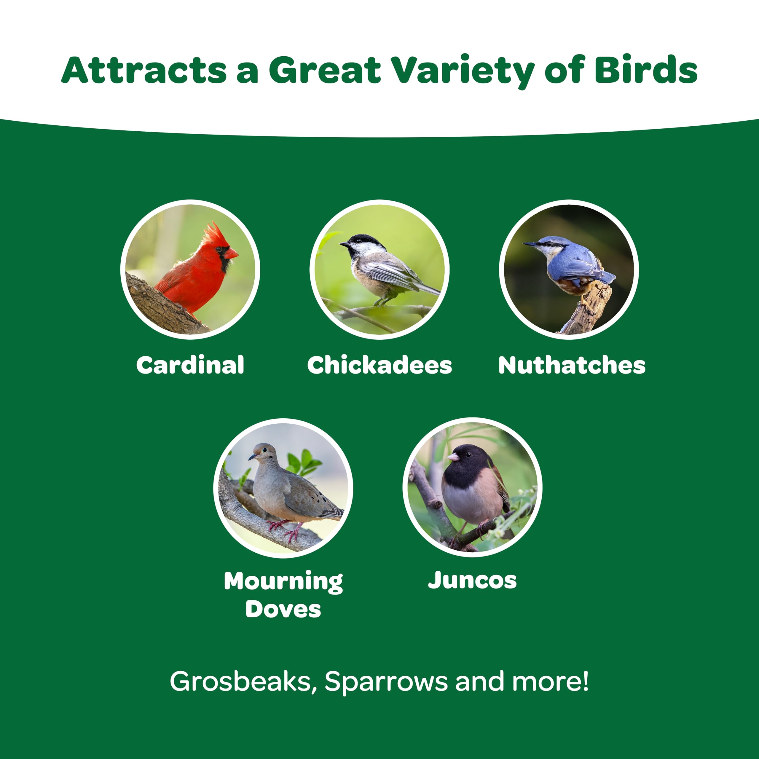 BIRDSEED WILD 5#POLY K-T (Pack of 1)