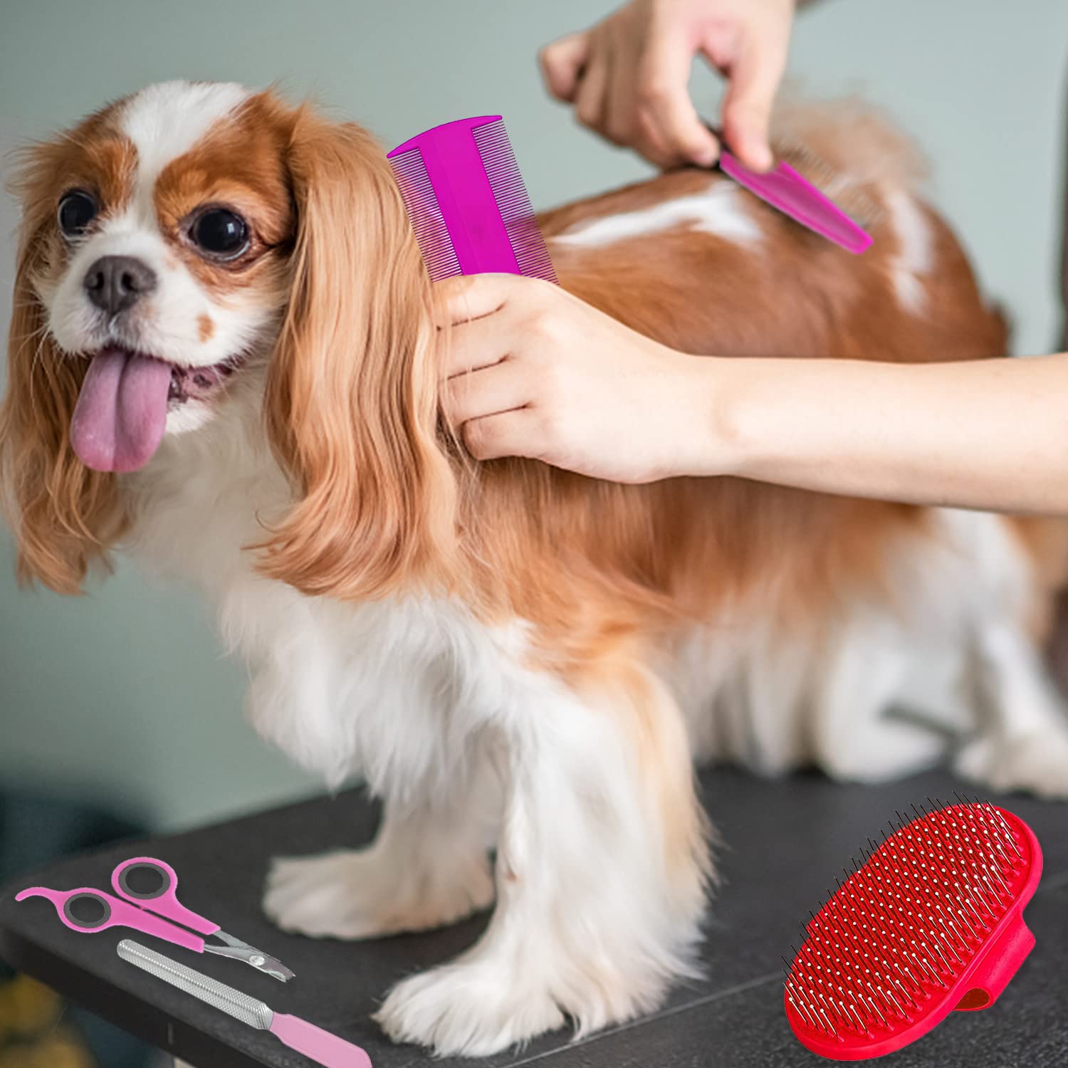WOOPSOO 7-Piece Small Pet Grooming Kit - Pink Brush, Nail Clippers, Hair Remover & Shampoo Brush for Rabbits & Hamsters