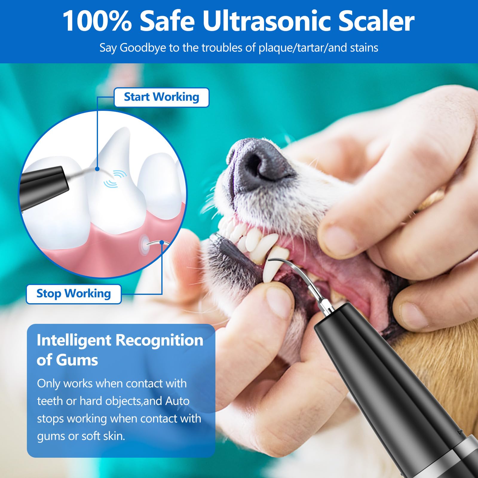 Ni-SHEN Dog Plaque Remover for Teeth,Pet Ultrasonic Tooth Cleaner,Teeth Cleaning Kit -Tartar Remover for Teeth Stains for Dogs a