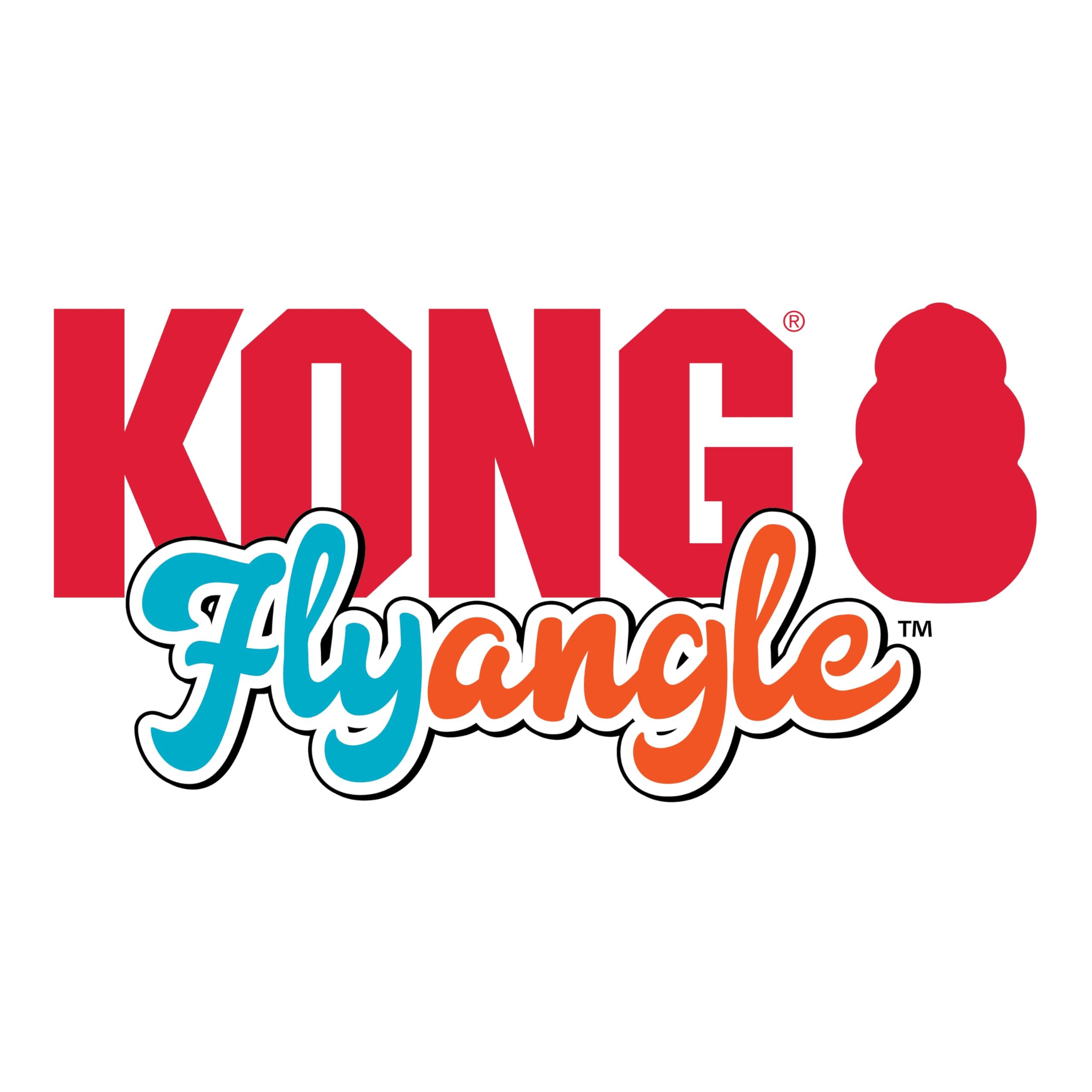 Kong Flyangle Assorted Lg