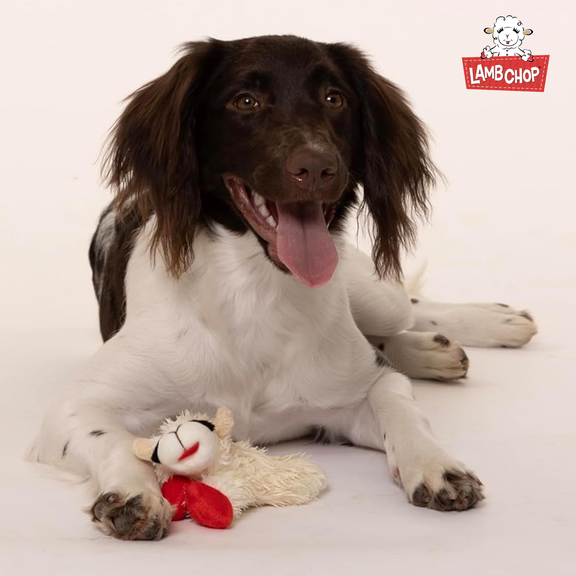 Multipet Lamb Chop Dog Plush Toy - Squeaky Dog Toy for All Dogs - Extra Soft Plush Dog Toy - Stuffed Animal Dog Toy for Cuddling