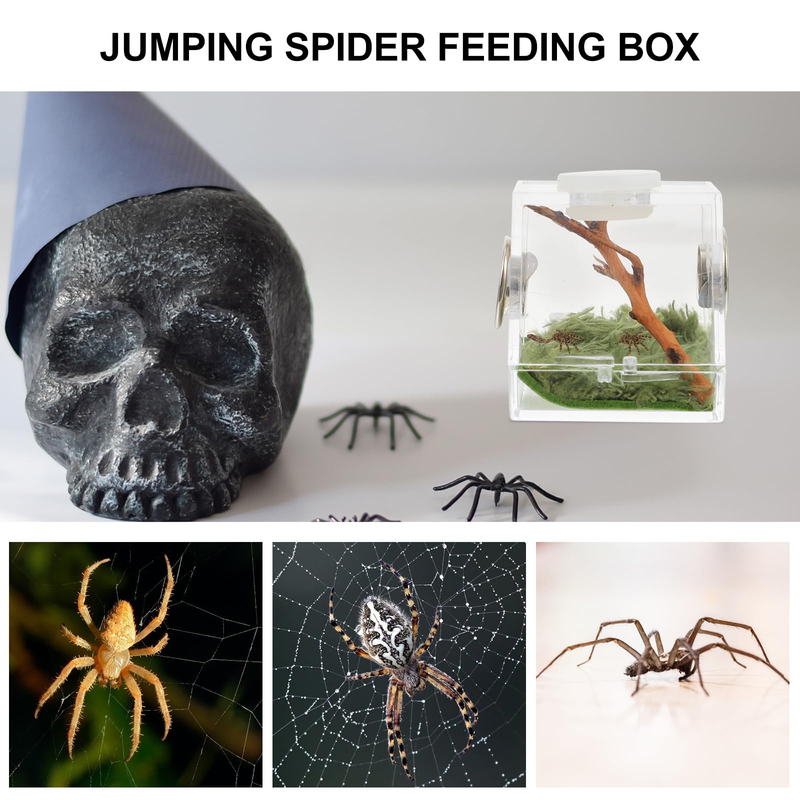 Mipcase 2Pcs Jumping Spider Enclosure, Acrylic Spider Terrarium Transparent Jumping Spider Habitat For Jumping Spider Accessorie