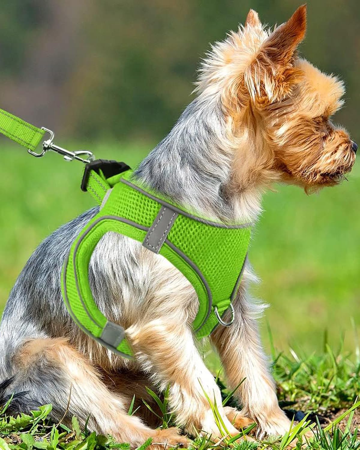 Joytale Small Dog Harness, Breathable Mesh Step-In Vest, Reflective Soft Padded Harnesses Small Sized Dog For Walking, Green, S