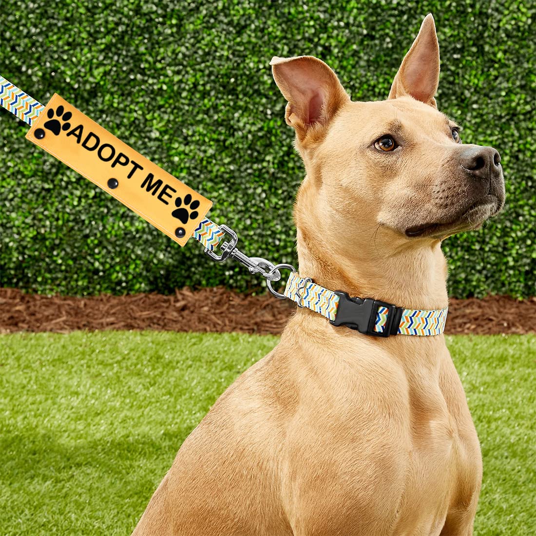 Pwhaoo Adopt Me Leash Sleeve Dog Leash Tag Adopt Me Dog Leash Wrap Dog Gift Dog Owner Gift Dog Rescue Gift (Adopt Me Sleeve)