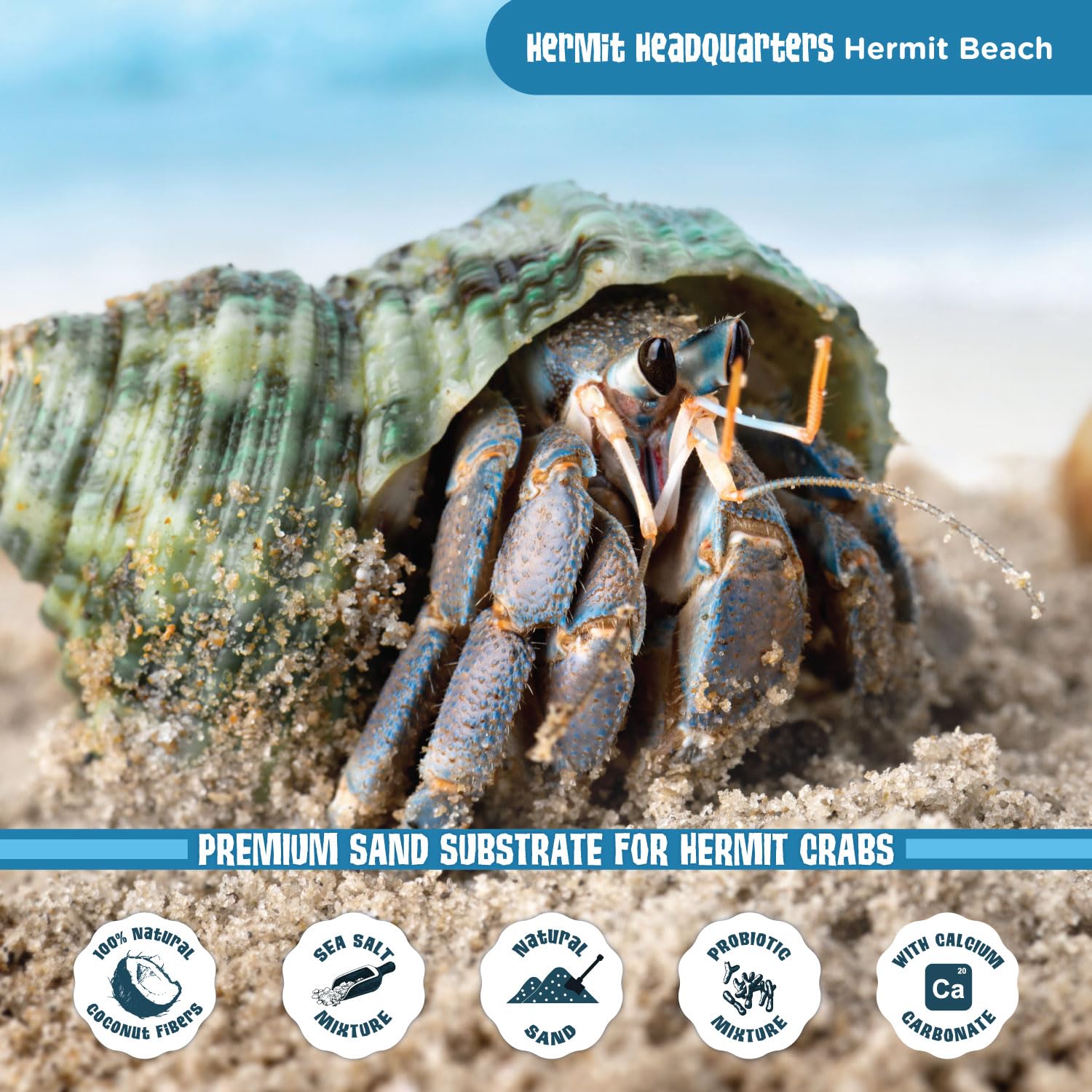 Fluker'S All Natural Premium Hermit Crab Sand Substrate, Sand Mixture With Coconut Fiber, For Hermit Crab Tanks, 6 Lbs.