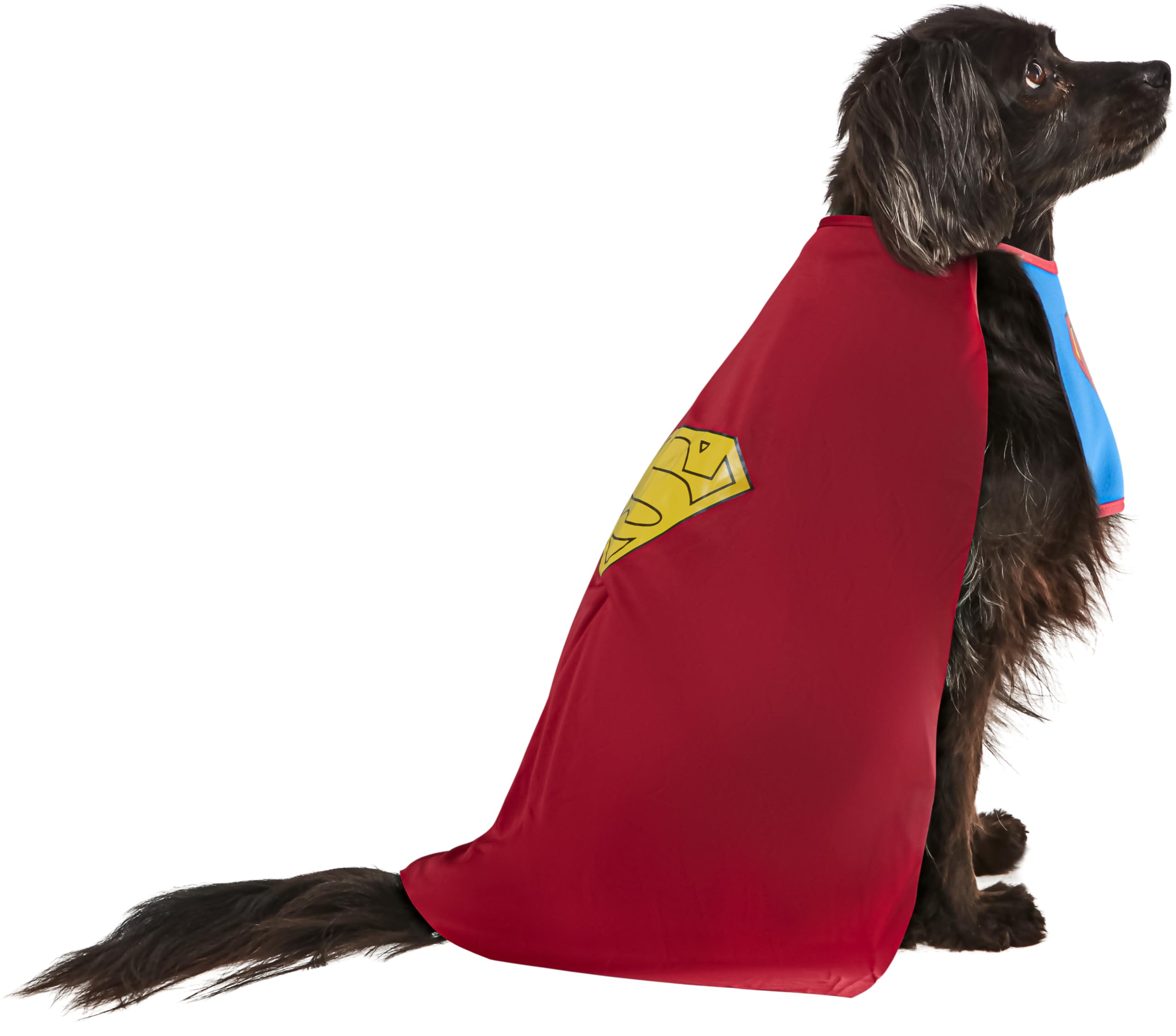 DC Comics Superheroes: Superman Pet Costume for For Dogs or Cats by Rubies, Small