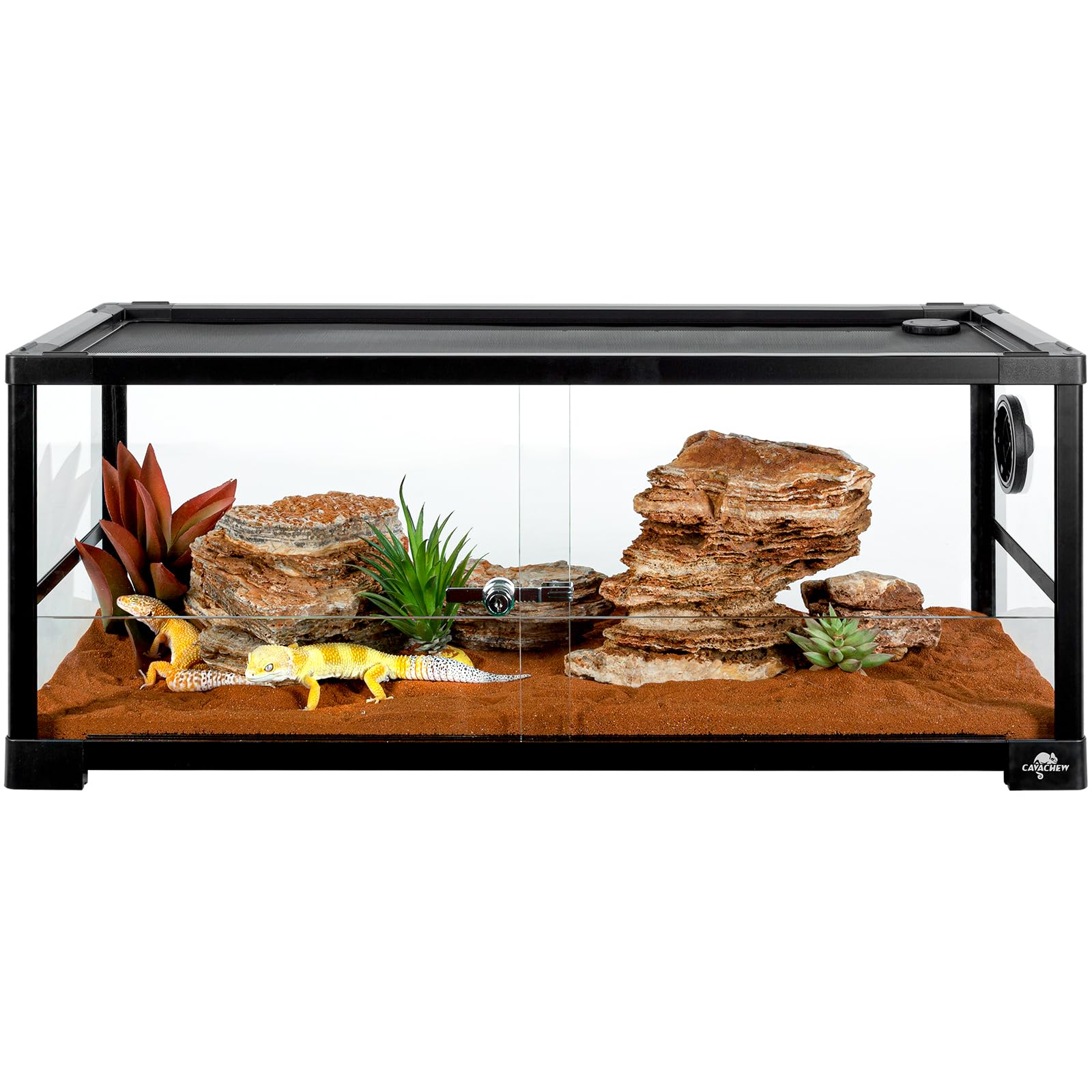 Cavachew 20 Gallon Reptile Tank, 30'' X 12'' X 12'' Reptile Terrarium, Top Screen Ventilation, Sliding Door, Cable & Fogger Pass