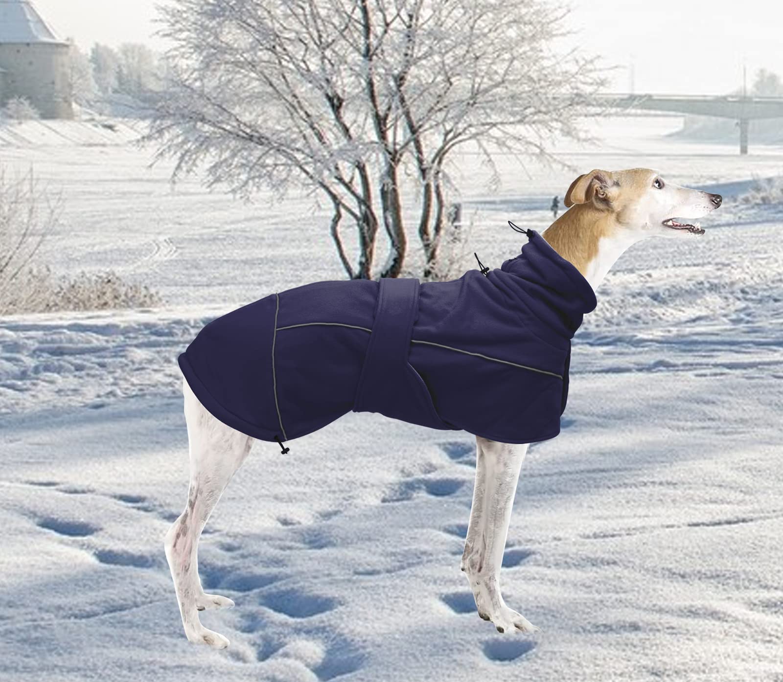 Greyhound Lurcher Winter Coat, Whippet Warm Coat With Fleece, Water Resistant Dog Jacket With Adjustable Bands And Zipper Harness Hole - Navy - Xsmall