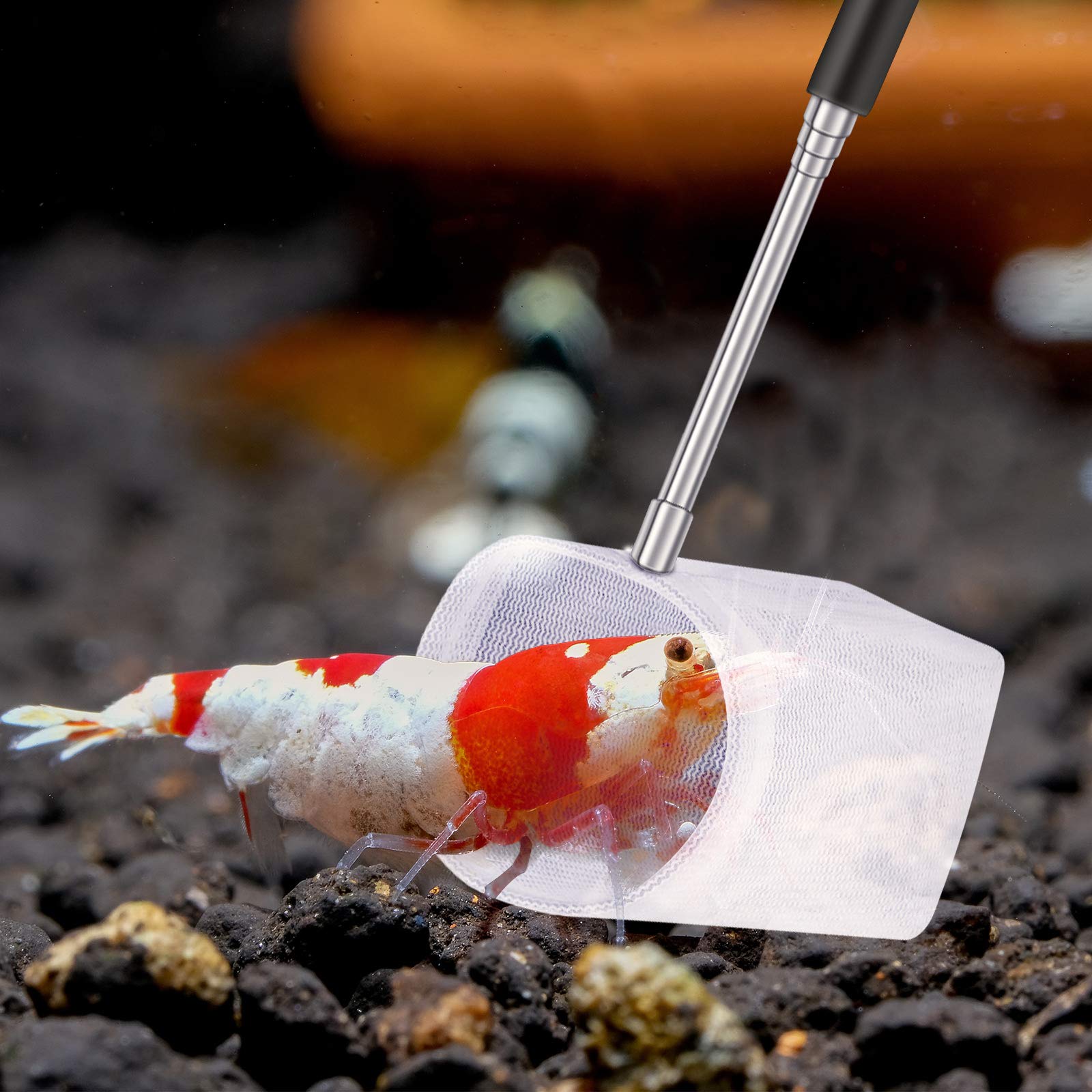 2 Pieces Fish Tank Shrimp Net Extendable Handle Shrimp, Aquarium Stainless Steel Small Fishing Net with Adjustable Handle for Po