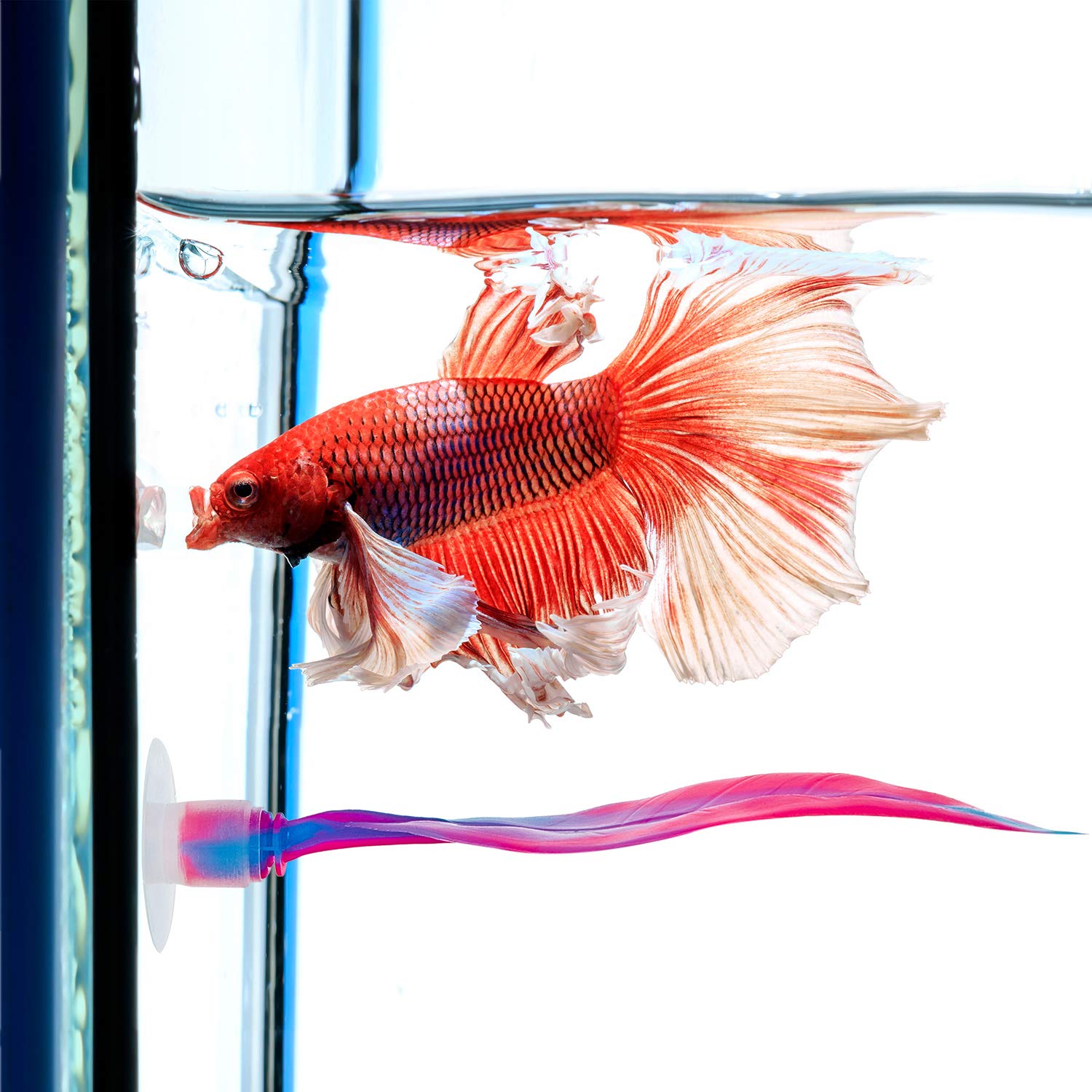 Willbond 2 Pieces Silicone Betta Bed Leaf Hammock For Betta Fish, Betta Fish Bed, Practical Resting Spot, No Bpa, Comfortable And Safe (Pink)