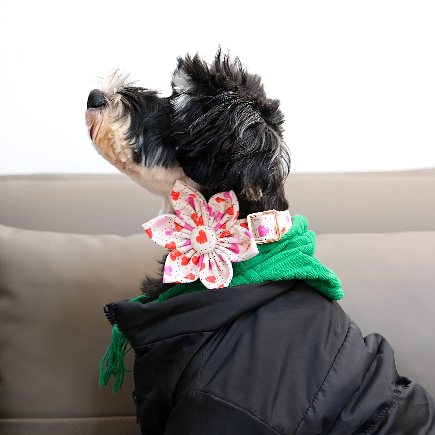 Lionet Paws Valentine‘S Day Dog Collar With Flower, Soft And Comfortable, Adjustable Collar For Large Dogs Girl, Neck 16-24 Inches