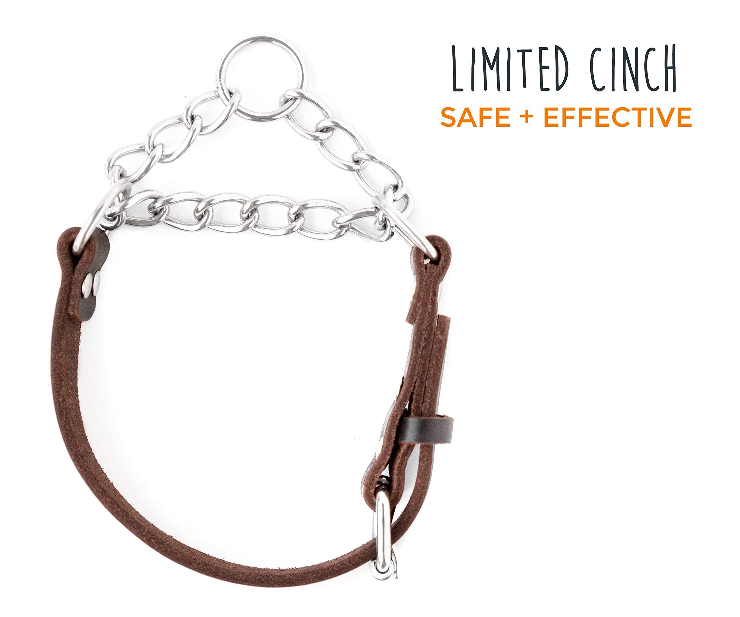 Mighty Paw Martingale Dog Collar - No Pull Design - Stainless Steel Chain - Limited Chain Cinch Training - Brown Leather Marting