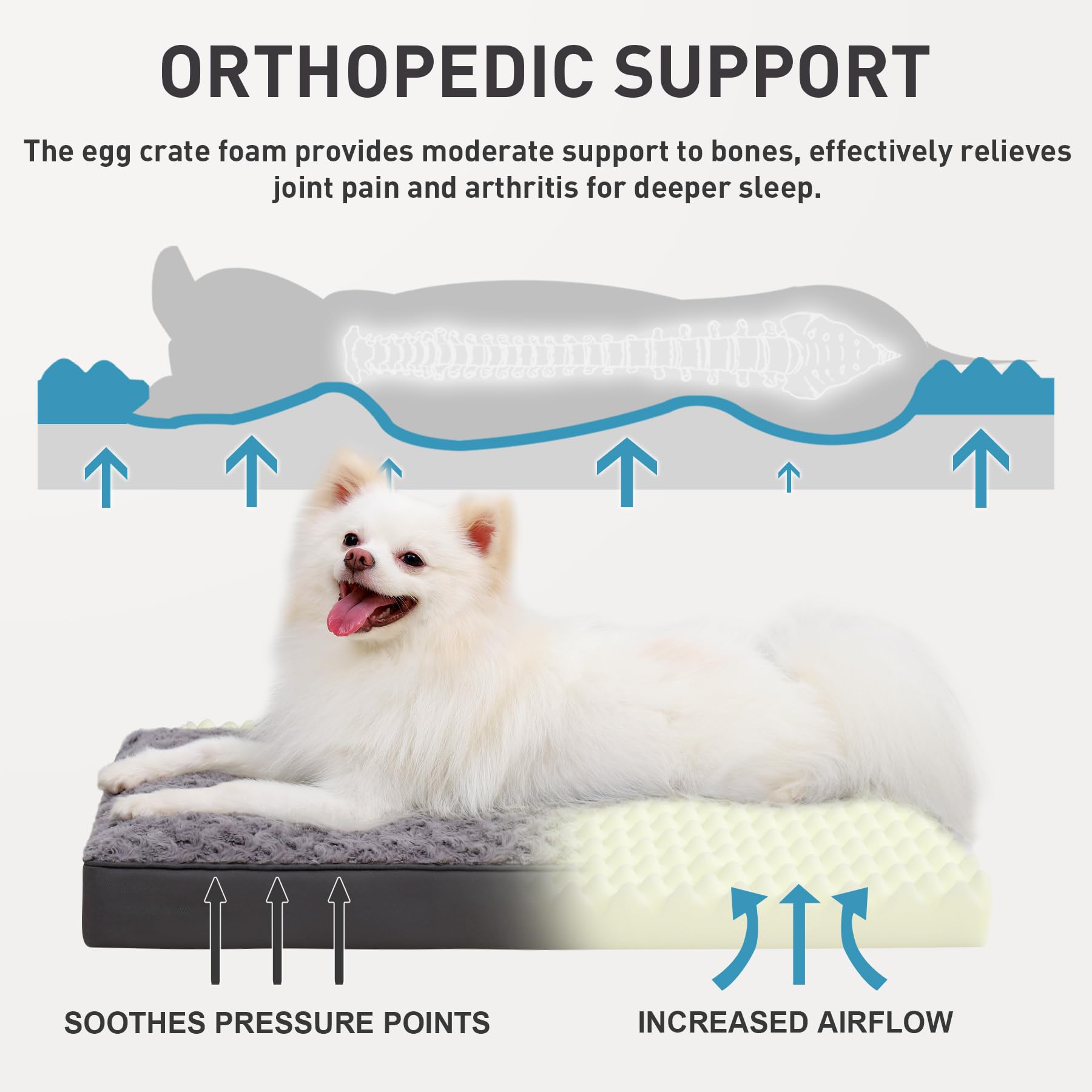 Dog Crate Bed Waterproof For Small Dogs - Rose Velvet Soft Fluffy Washable With Removable Cover & Anti-Slip Bottom, 23 X 17 Inch