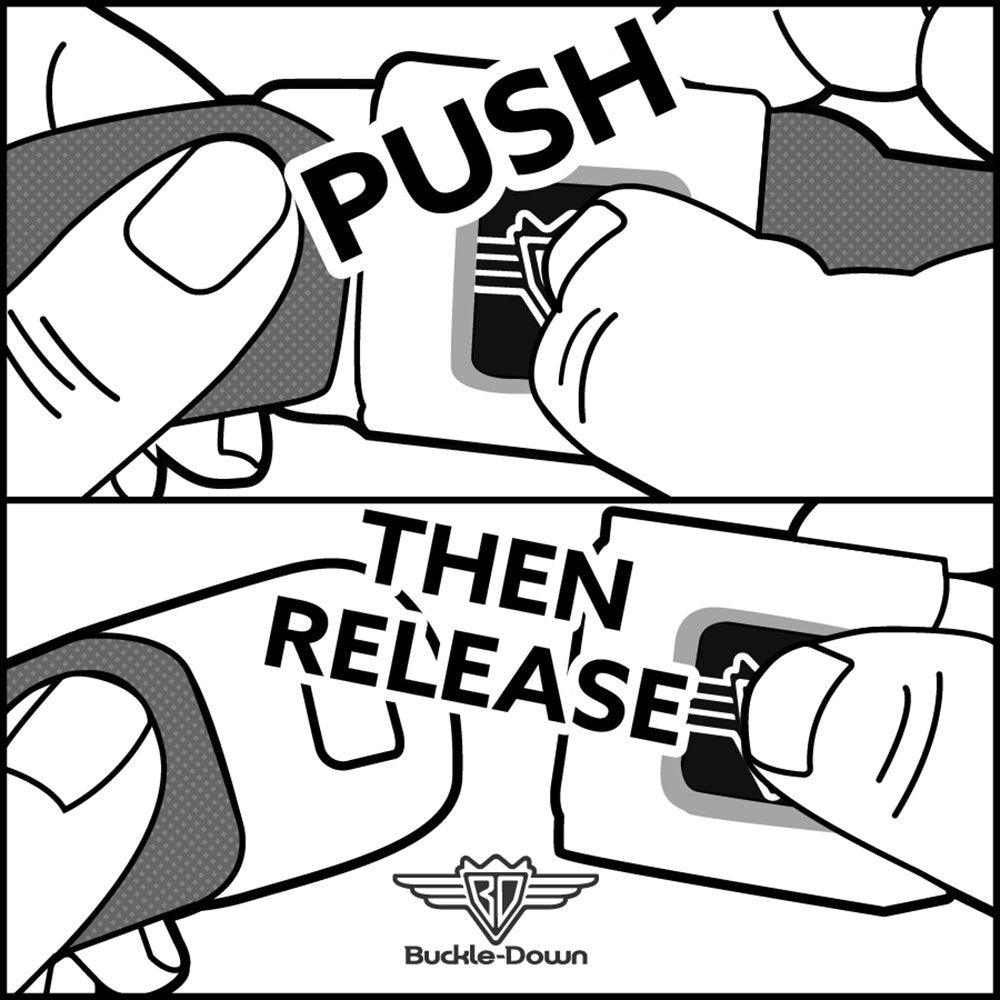 Dog Collar Seatbelt Buckle Cinderella Pumpkin Coach And Mice Pose With Script Blues 15 To 24 Inches 1.0 Inch Wide