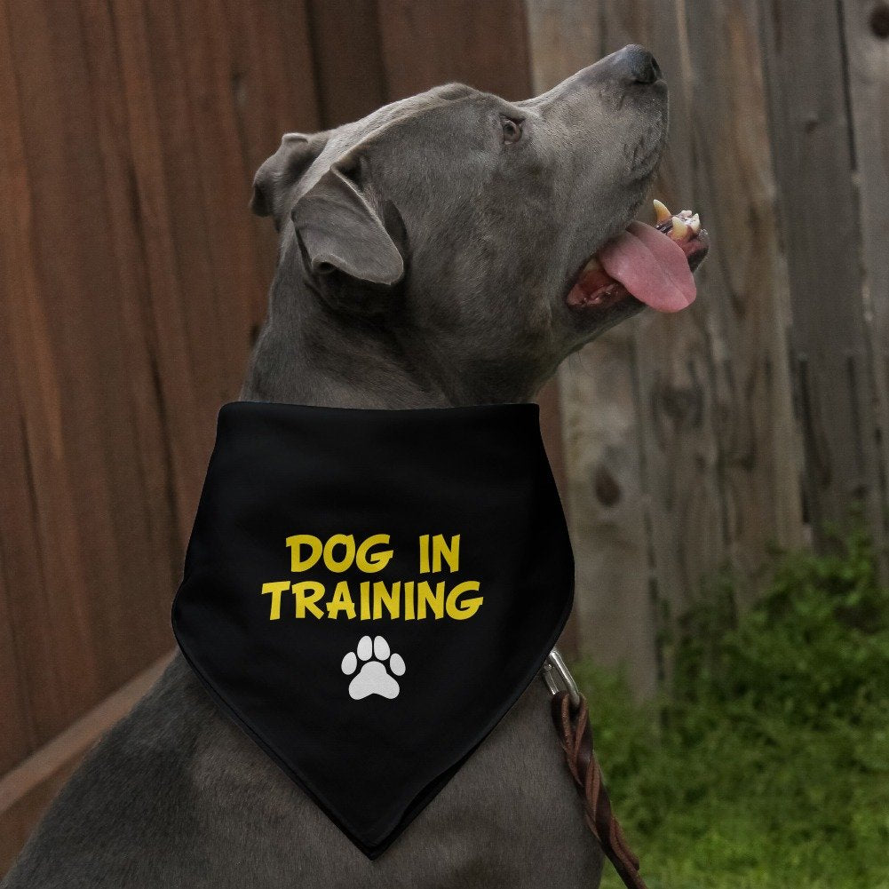 Graphics & More Dog In Training With Paw Print Dog Pet Bandana - Black